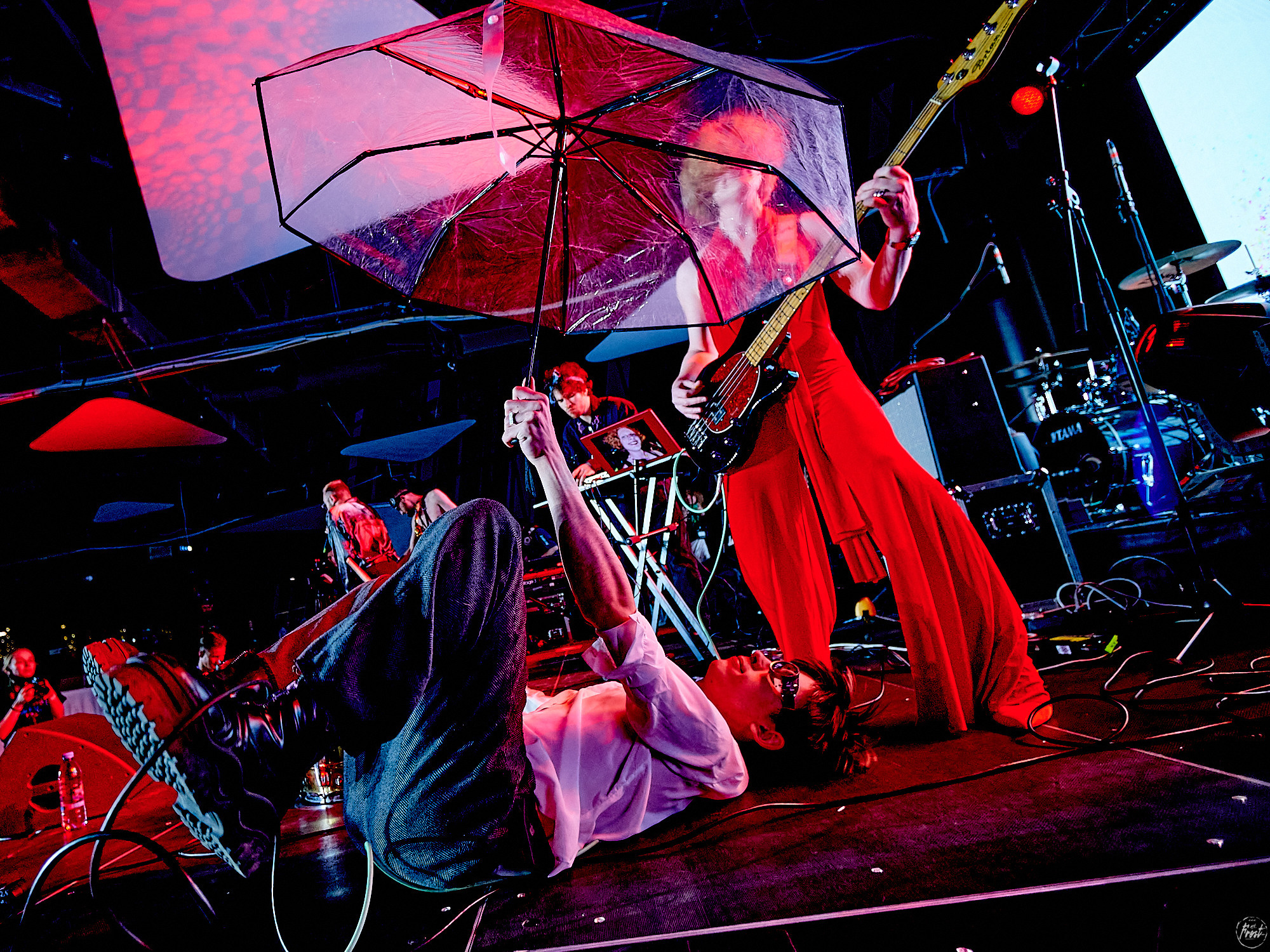 The OMY. Фотографии отовсюду и обо всем