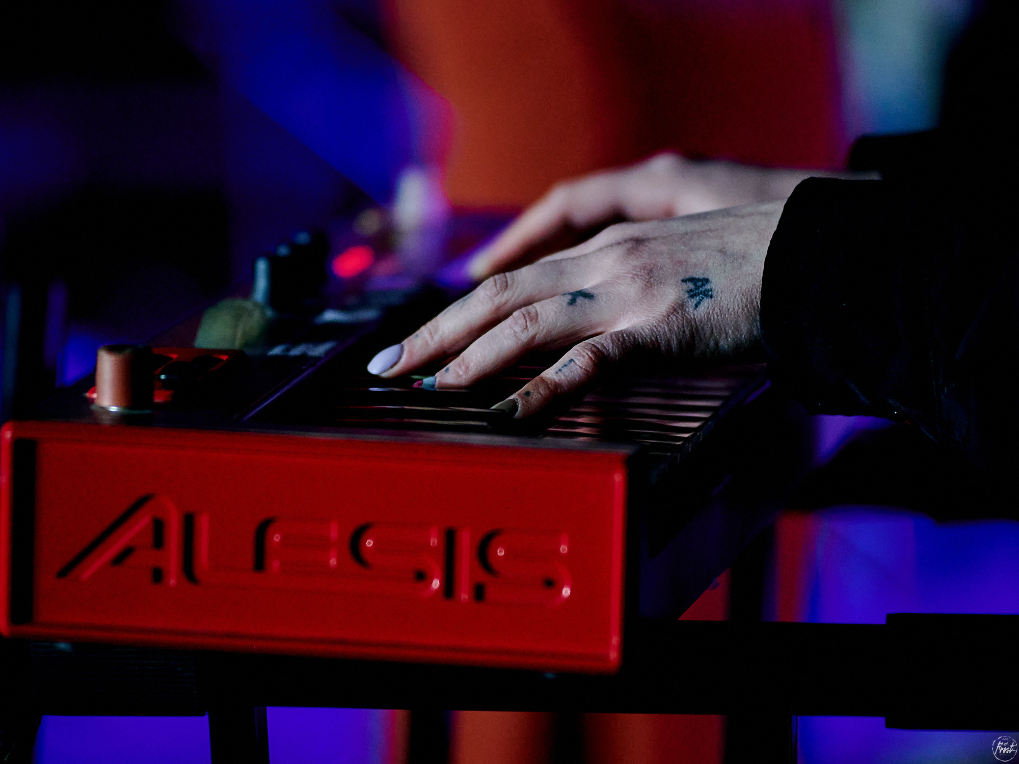 Гокки. Фотографии отовсюду и обо всем