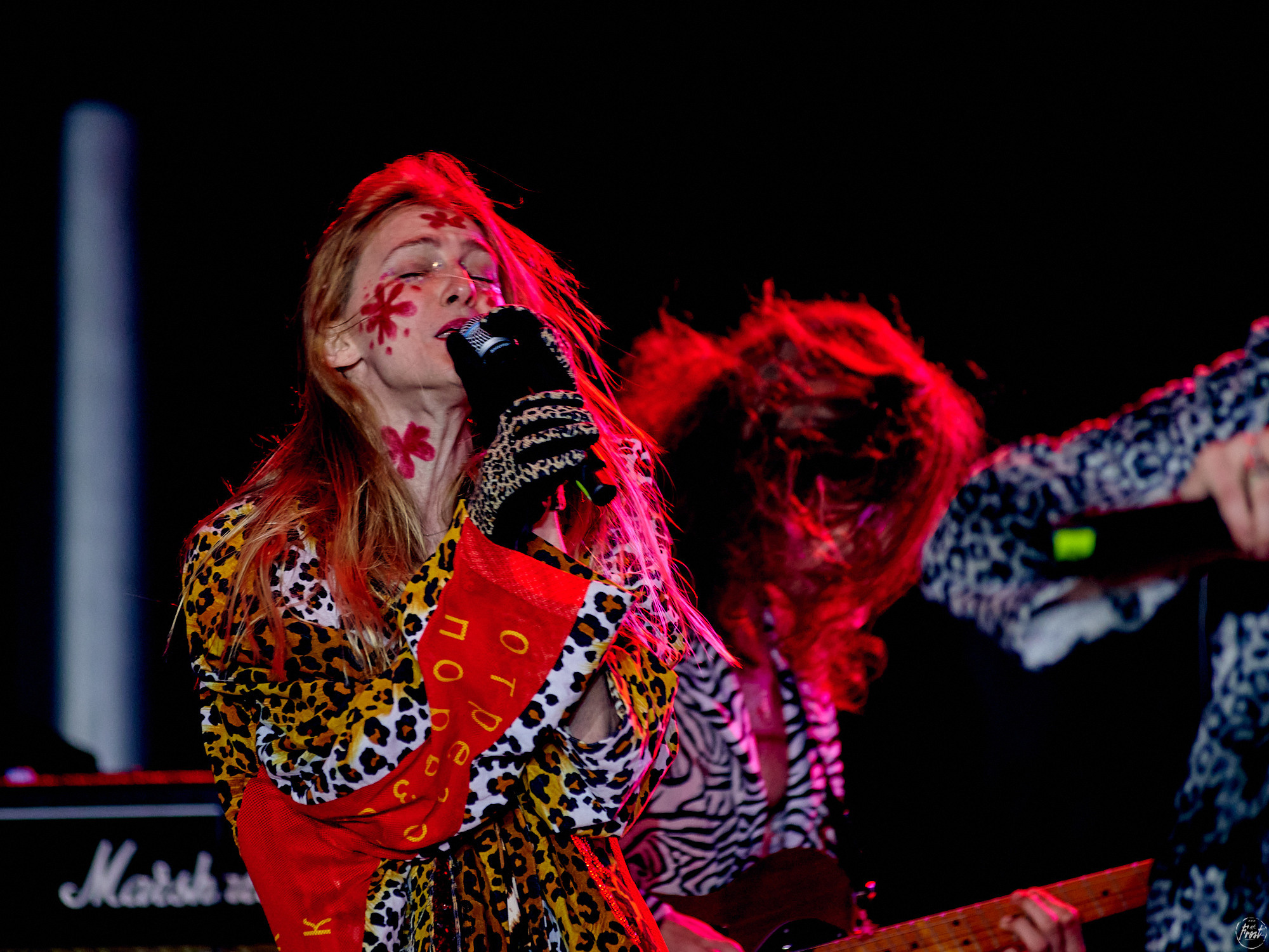 Созвездие Отрезок. Фотографии отовсюду и обо всем