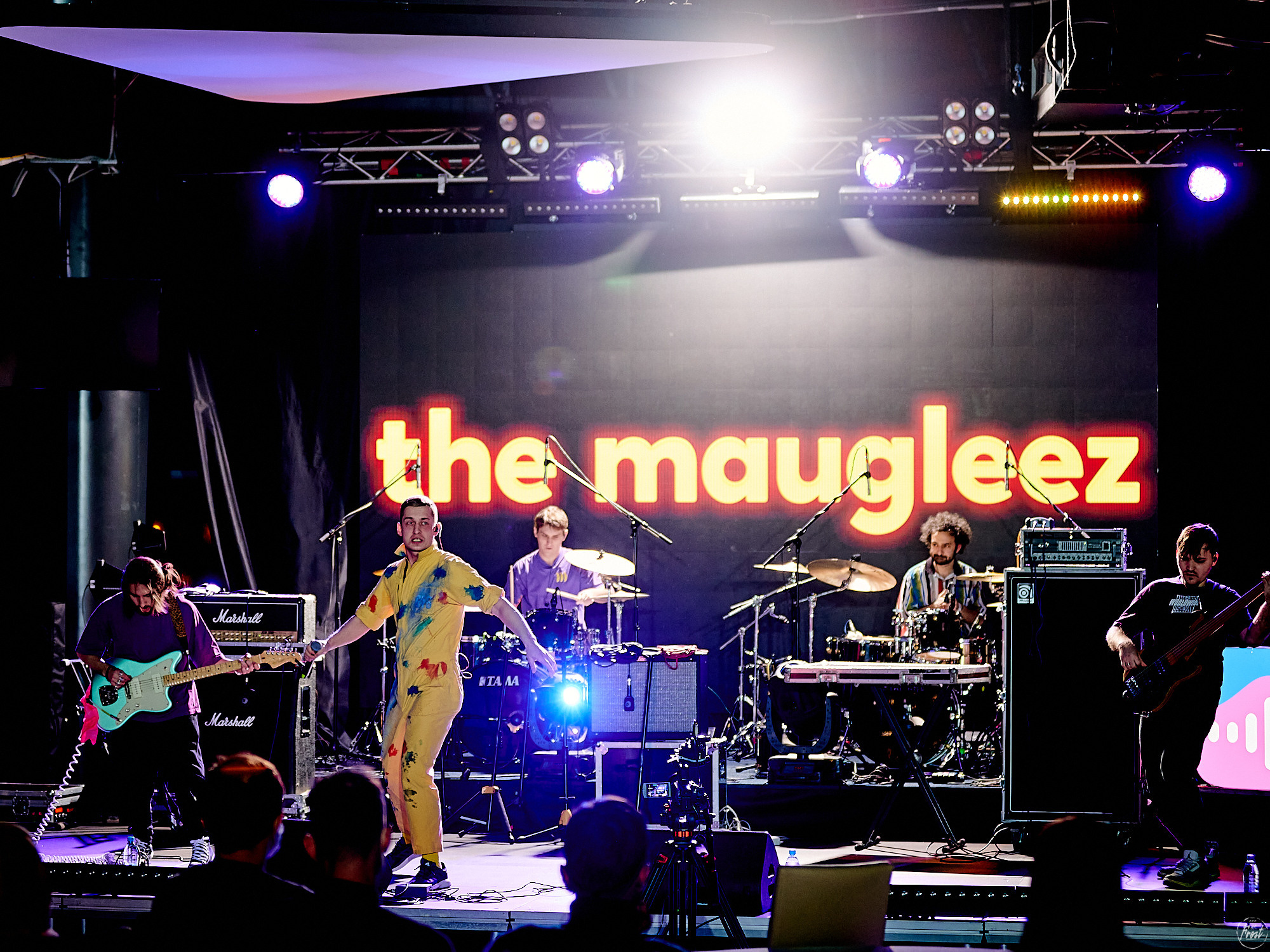 The Maugleez. Фотографии отовсюду и обо всем