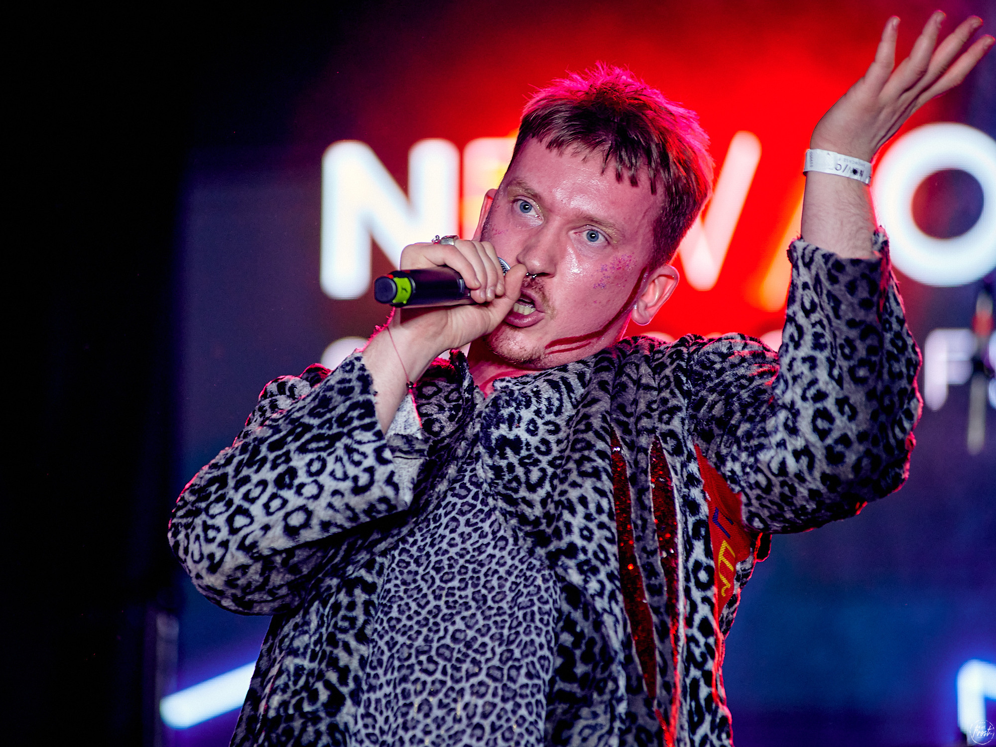 Созвездие Отрезок. Фотографии отовсюду и обо всем