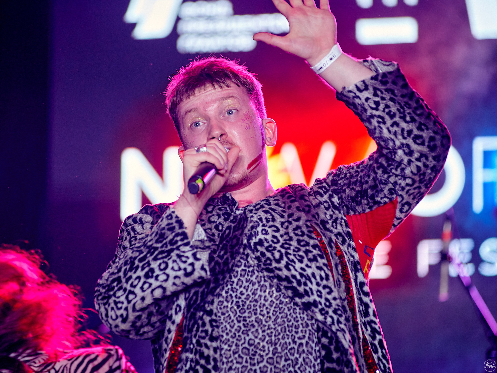 Созвездие Отрезок. Фотографии отовсюду и обо всем