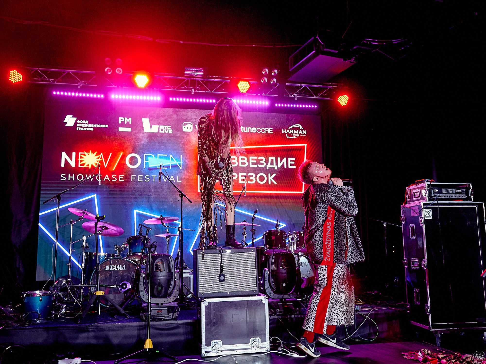 Созвездие Отрезок. Фотографии отовсюду и обо всем