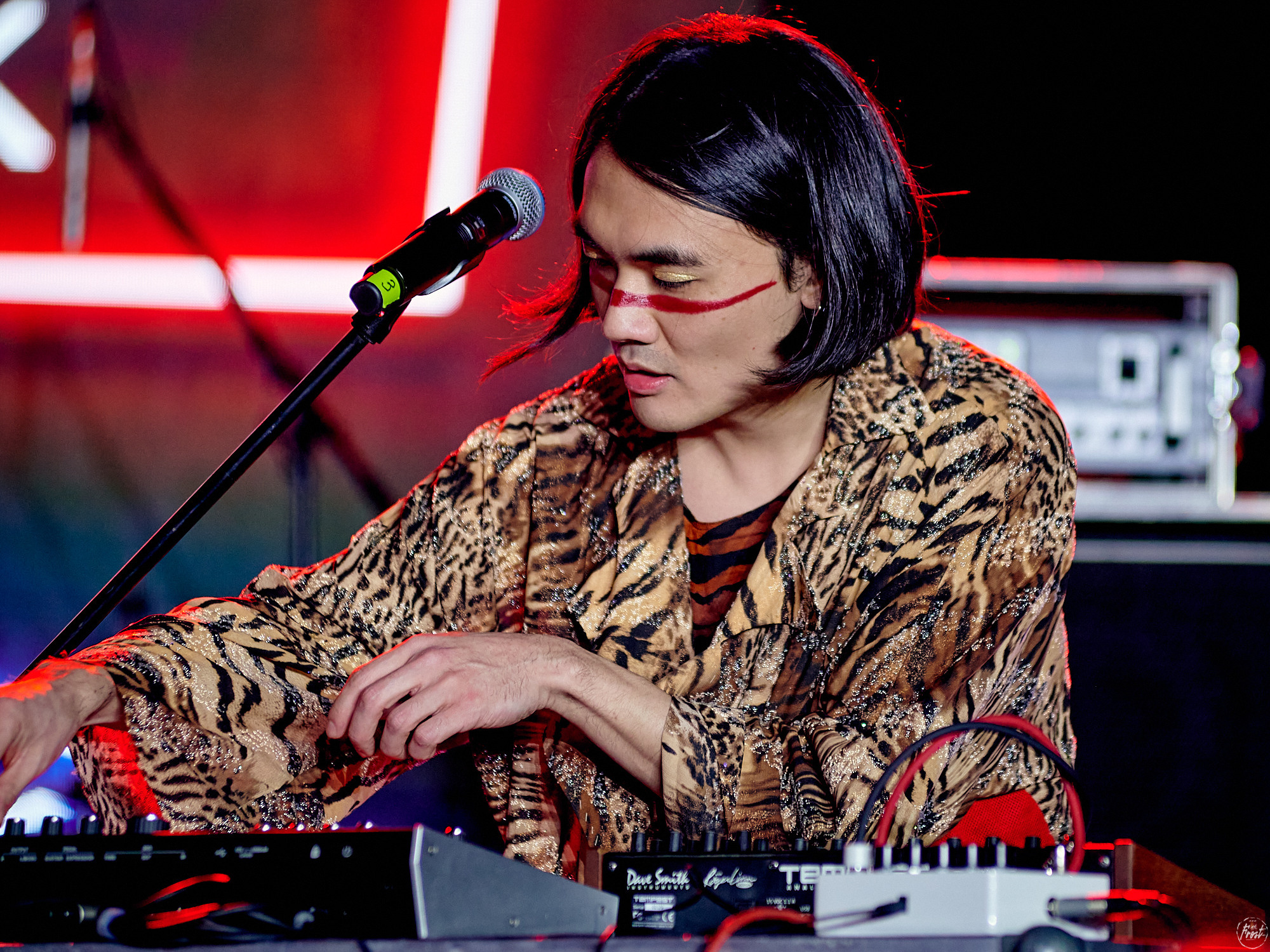 Созвездие Отрезок. Фотографии отовсюду и обо всем