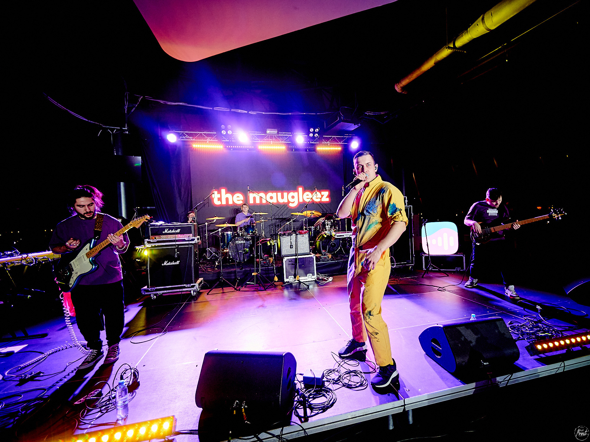 The Maugleez. Фотографии отовсюду и обо всем