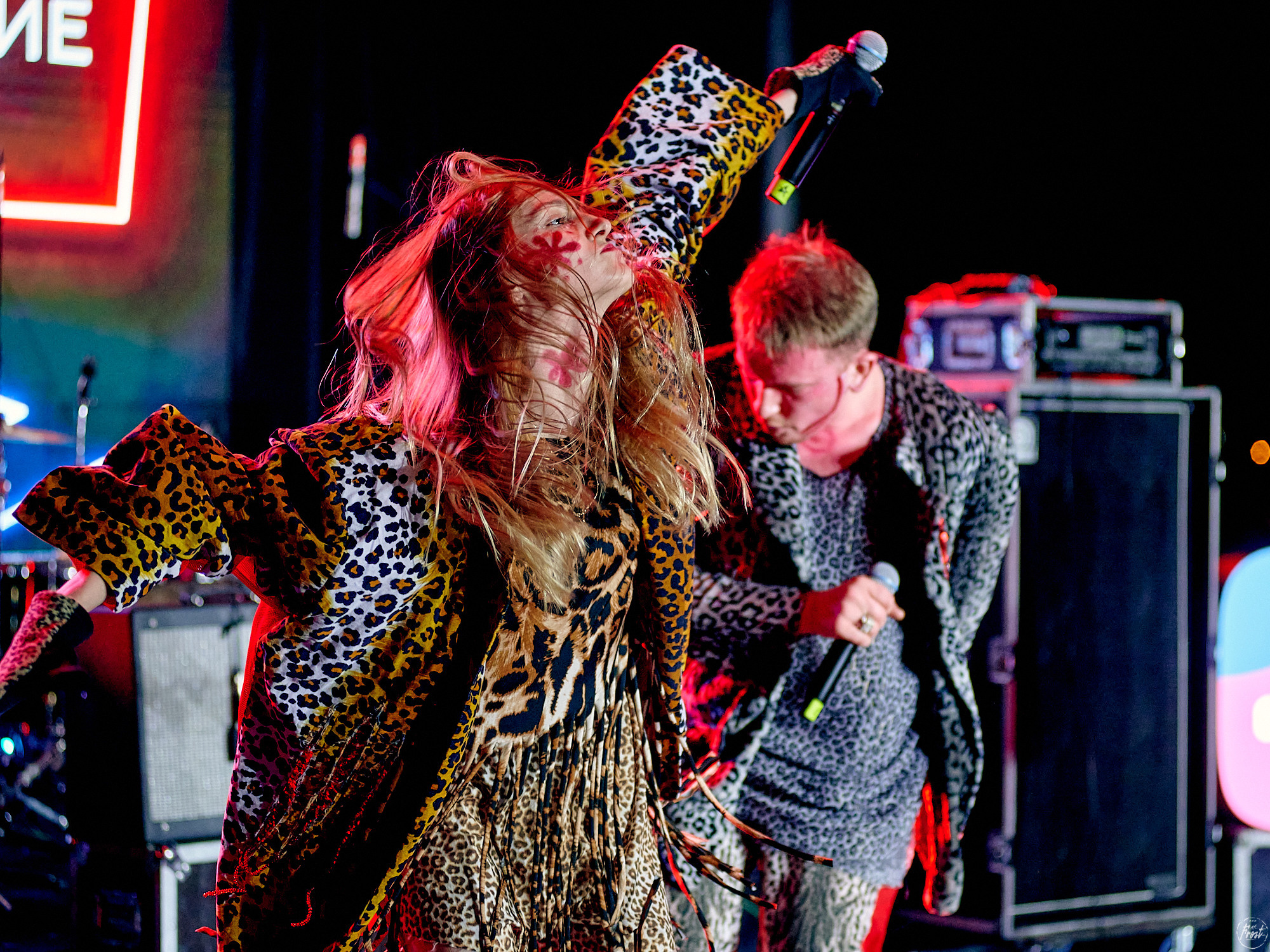 Созвездие Отрезок. Фотографии отовсюду и обо всем