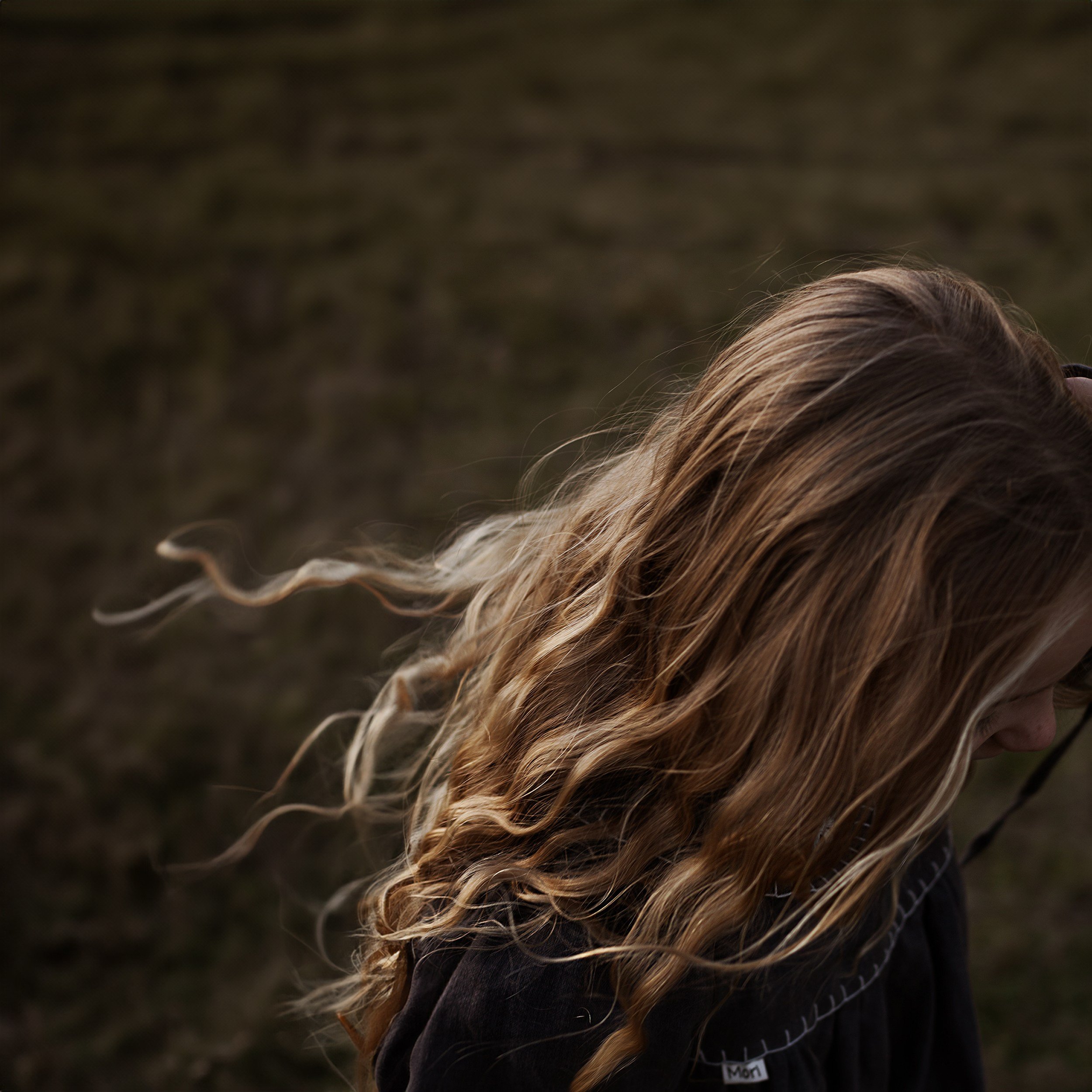 Лети птичка. Фотограф Ирина Нехороших