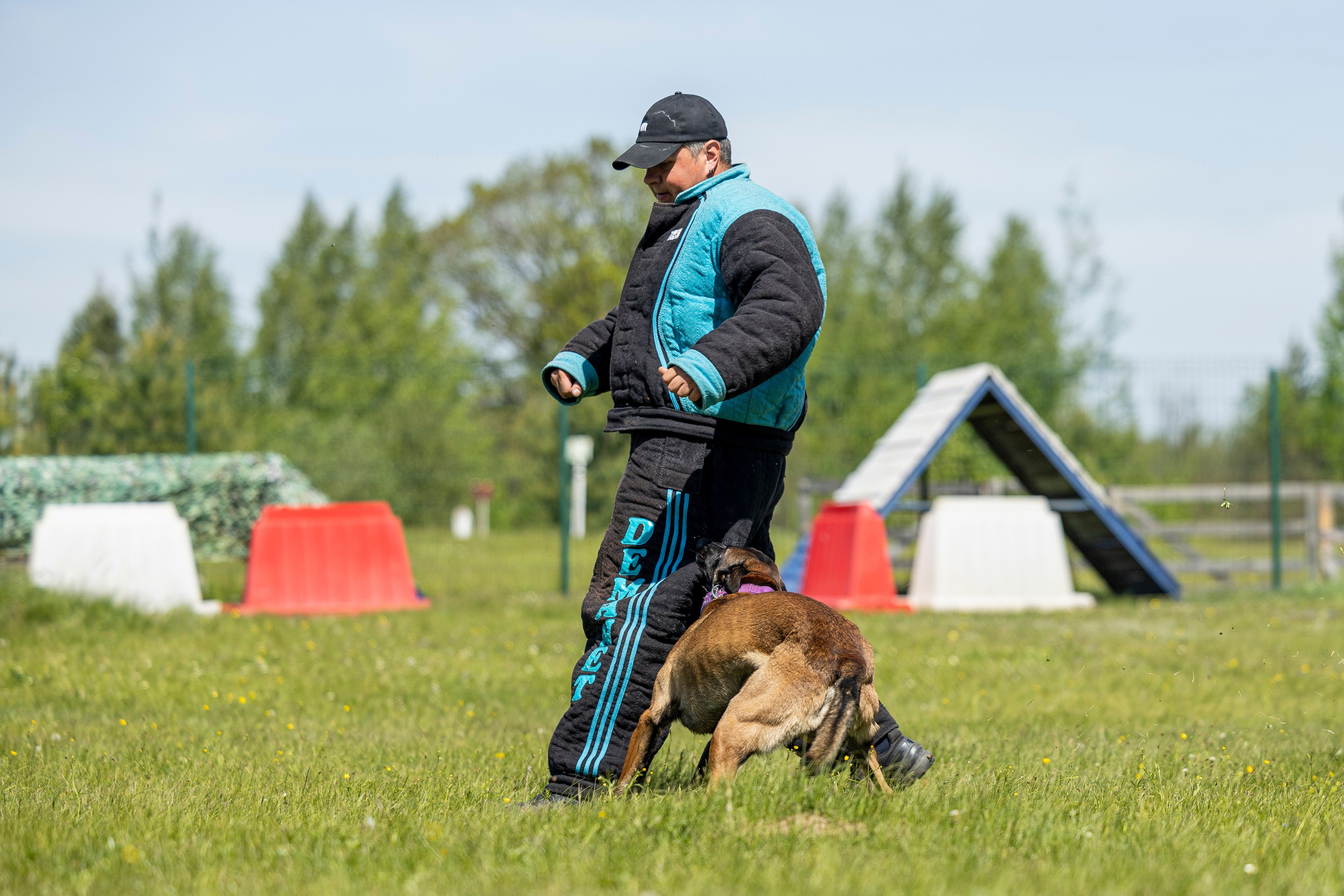 Испытания по мондьорингу в Нижнем Новгороде. Фотограф-анималист Анна Маринич