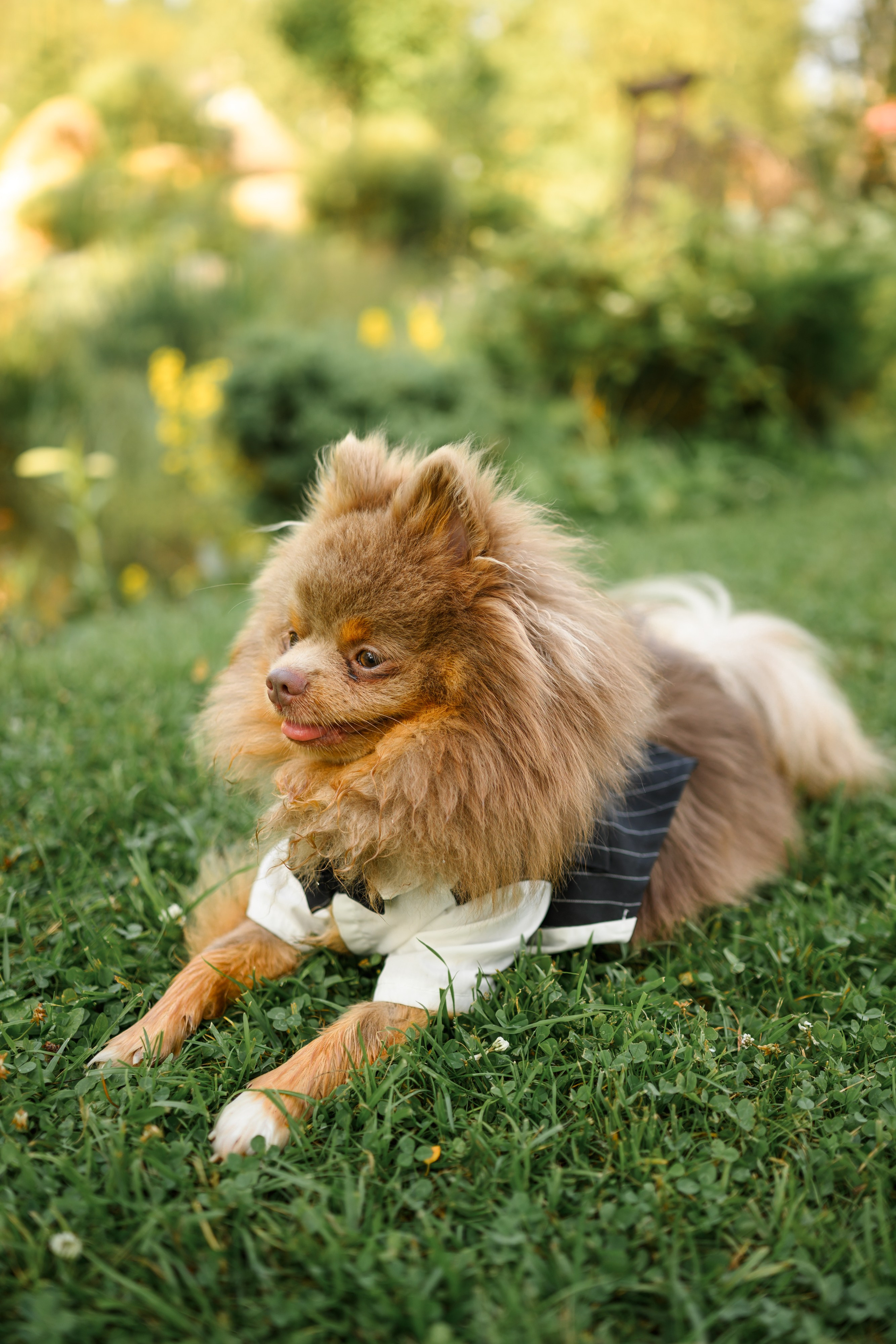 Свадьбы. Фотограф в Санкт-Петербурге