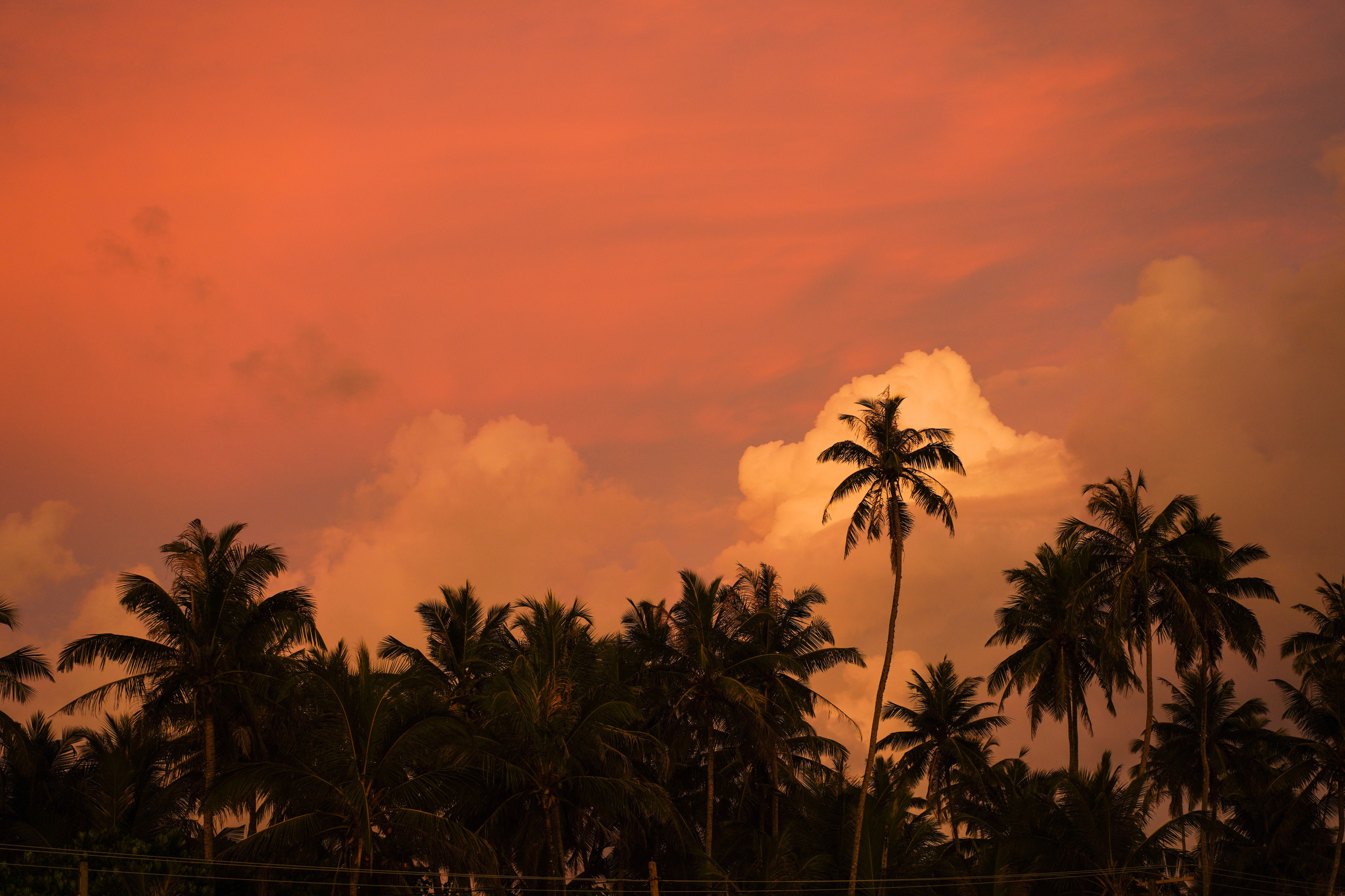 Остров Шри-Ланка. Фотограф Сергей Кишкель Дананг Нячанг Фукуок