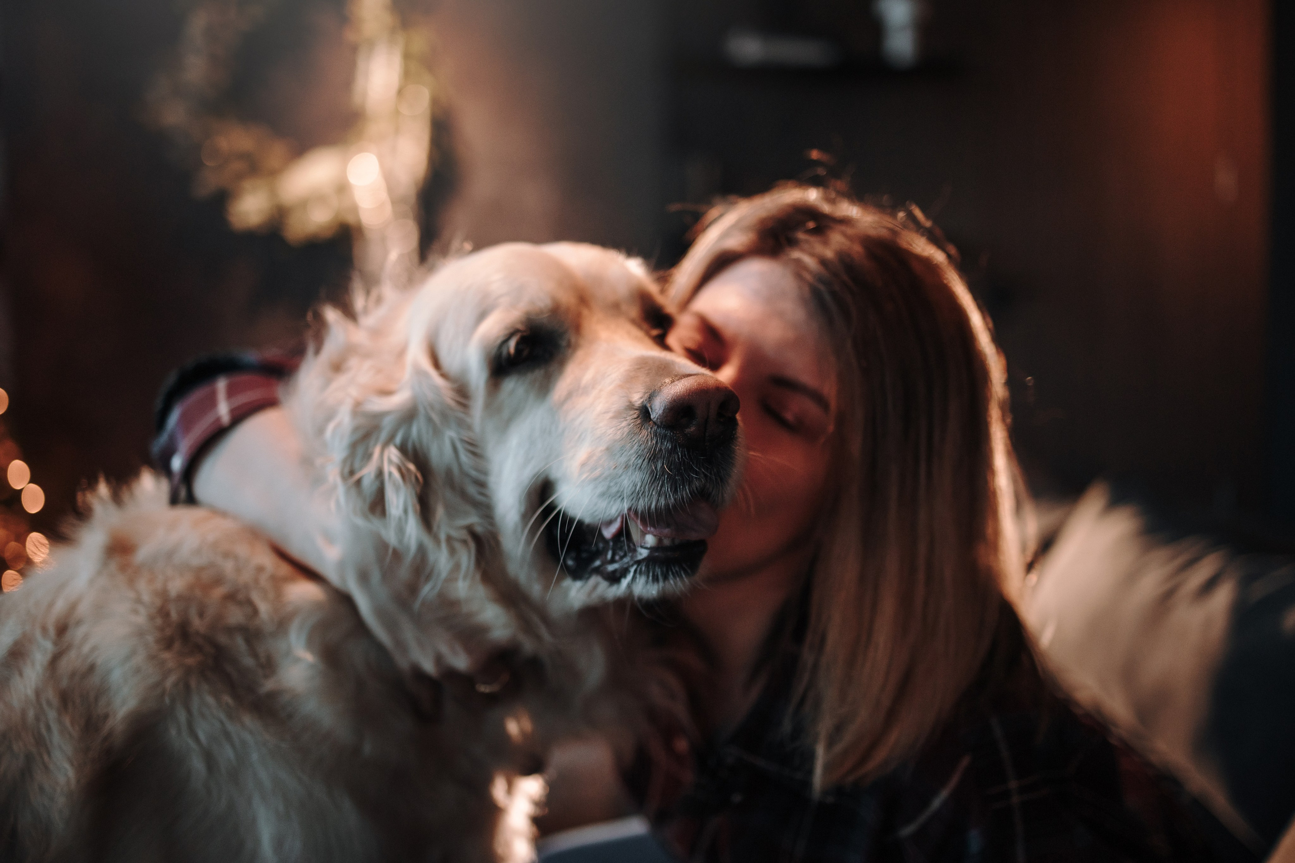 Вика и Рози. Фотограф — Анималист | Санкт-Петербург