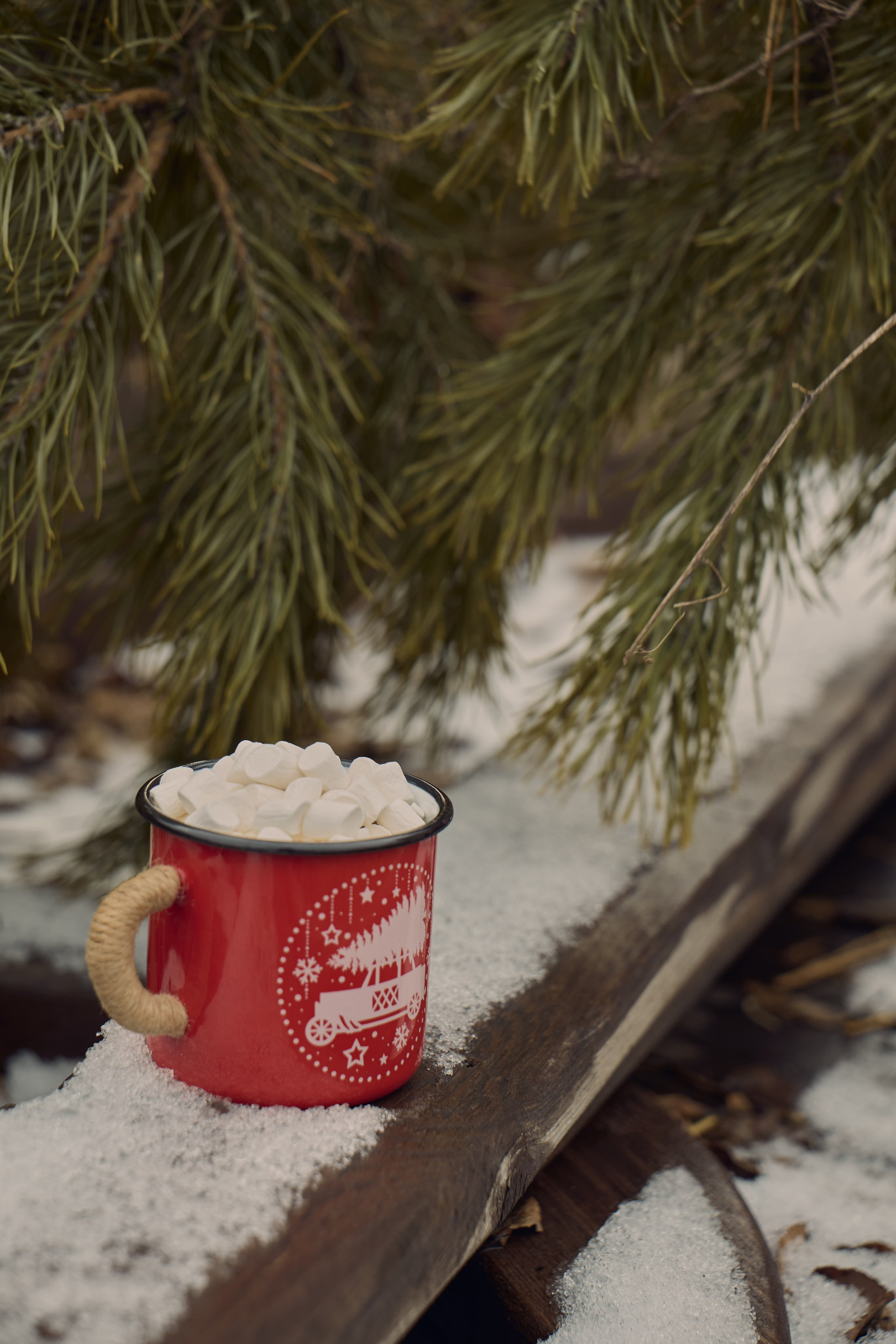 Анастасия и Арина. Фотограф|Ретушер| Екатерина Гришанова|Челябинск
