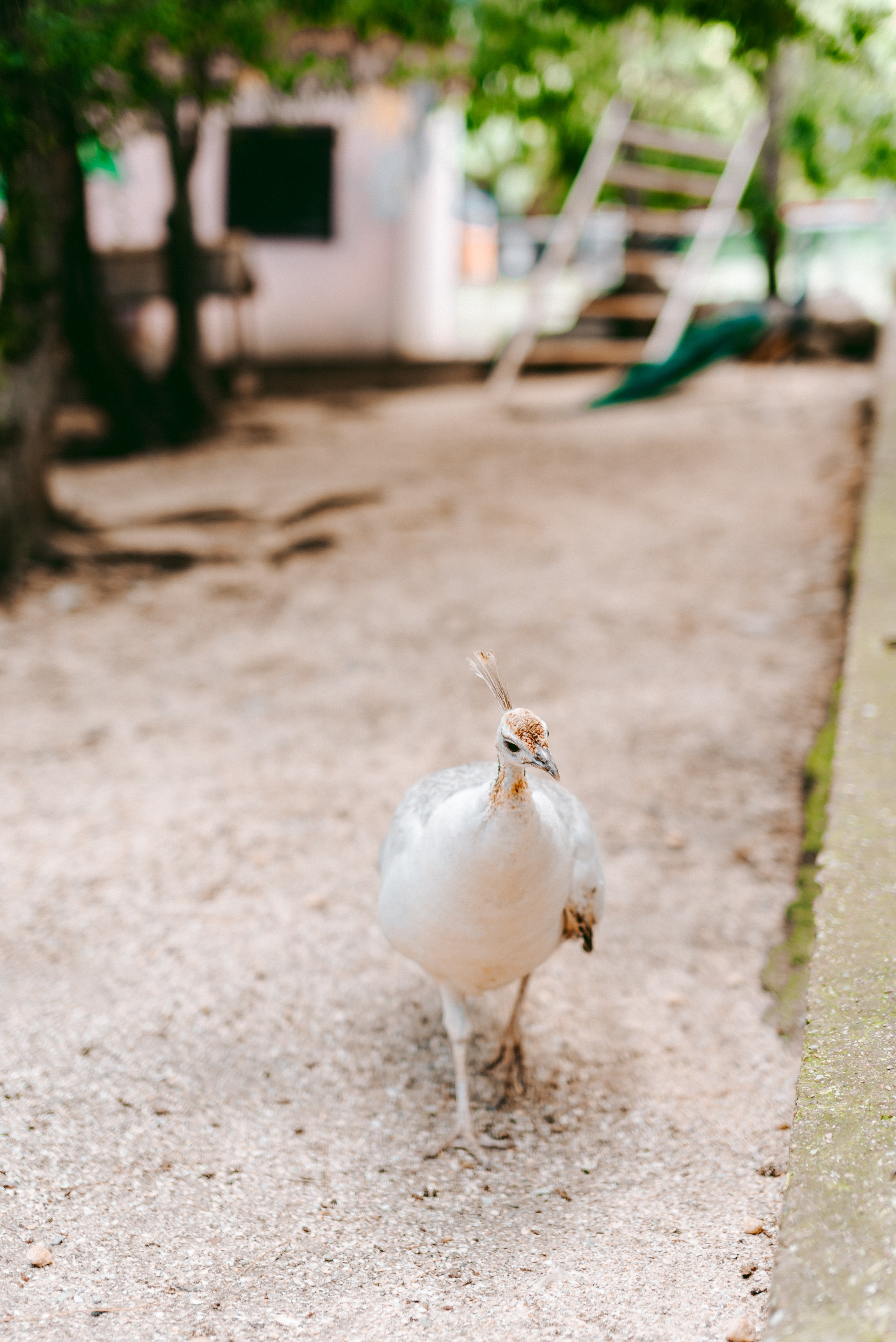 Июнь–Июль Отпуск Белореченск, Геленджик. Семейный, Свадебный фотограф СПБ Питер— Романова Екатерина