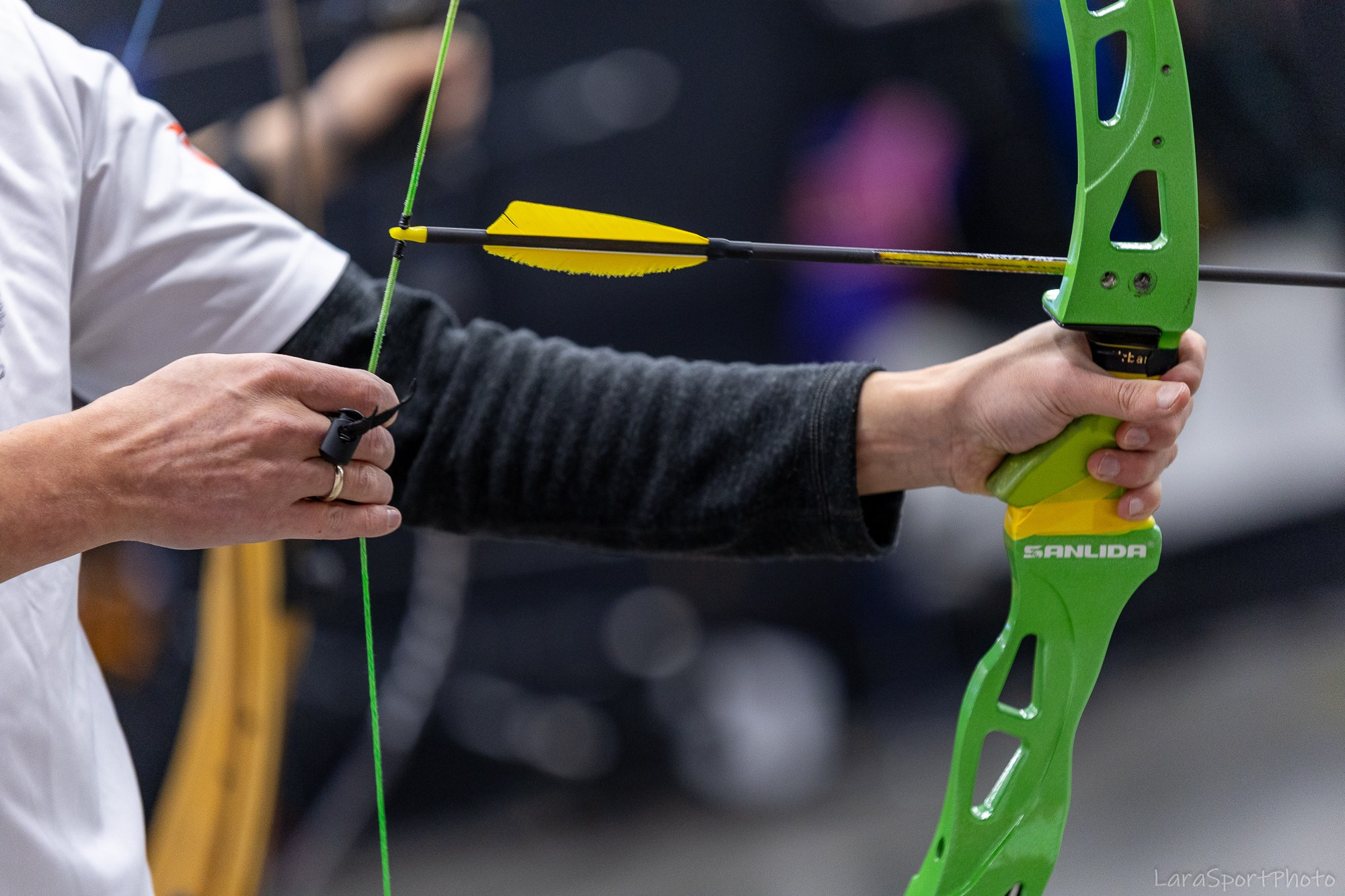 Стрельба из лука, Чемпионат и Первенство Карелии 2026. Lora8299.wfolio.pro