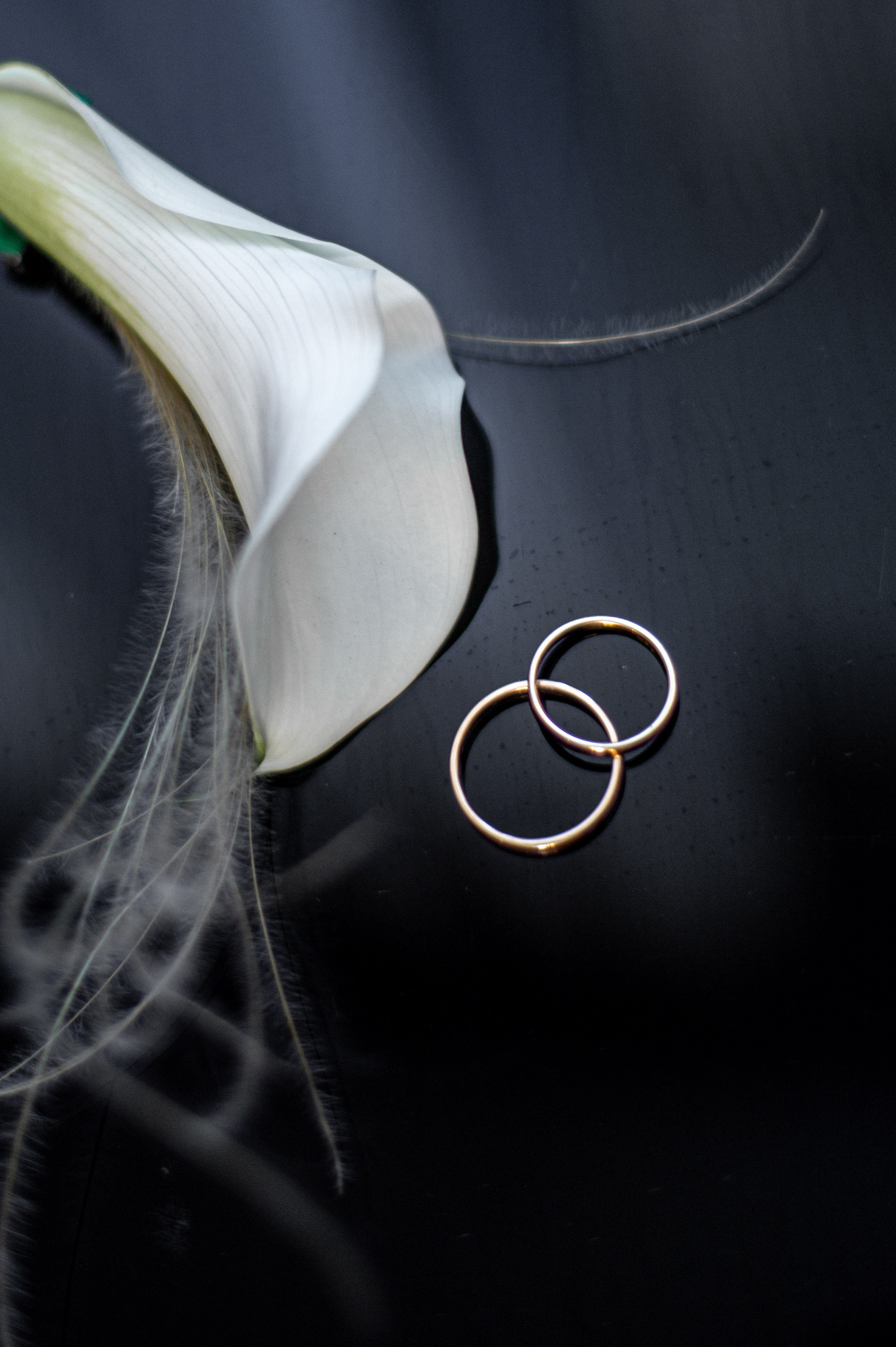 Утро невесты. SaGaFOTO.ru