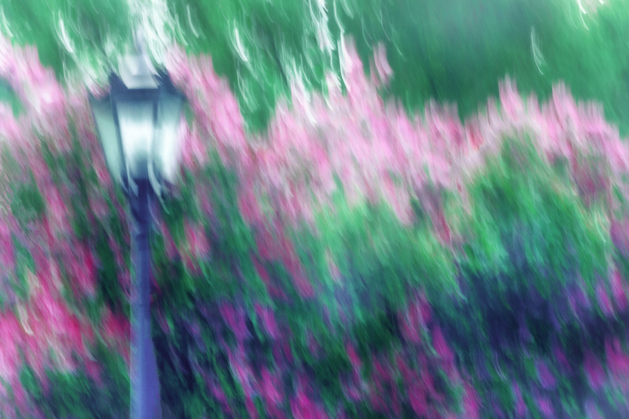 Нерезкое. Фотограф Ольга Дунаева