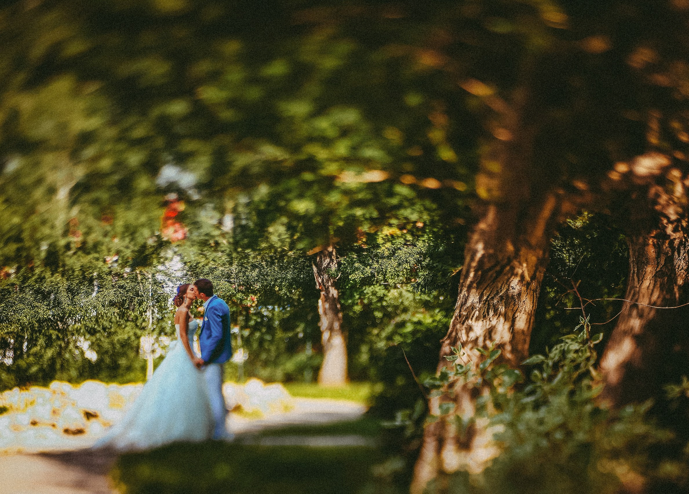 Свадебная летняя фотосессия. Фотограф в городе Самара Александр Гераськин