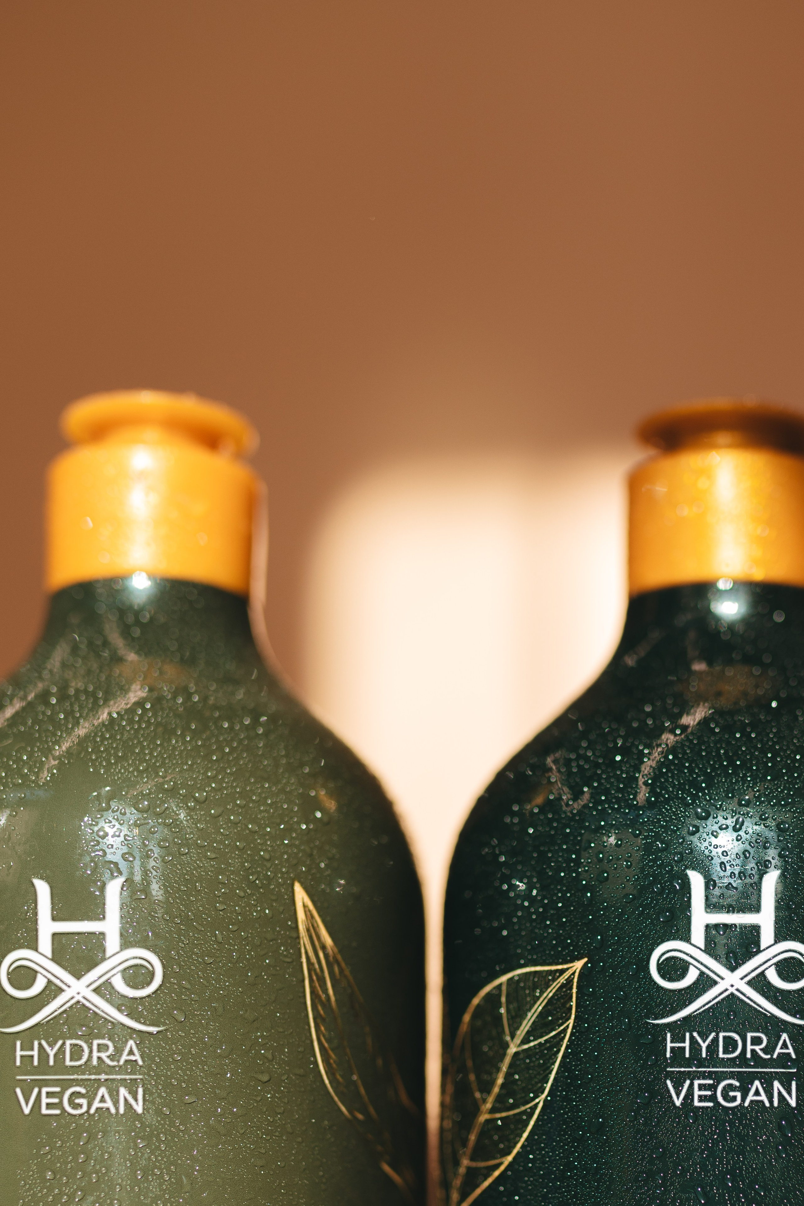 Груминг — салон. Фотограф анималист Осипчикова Мария