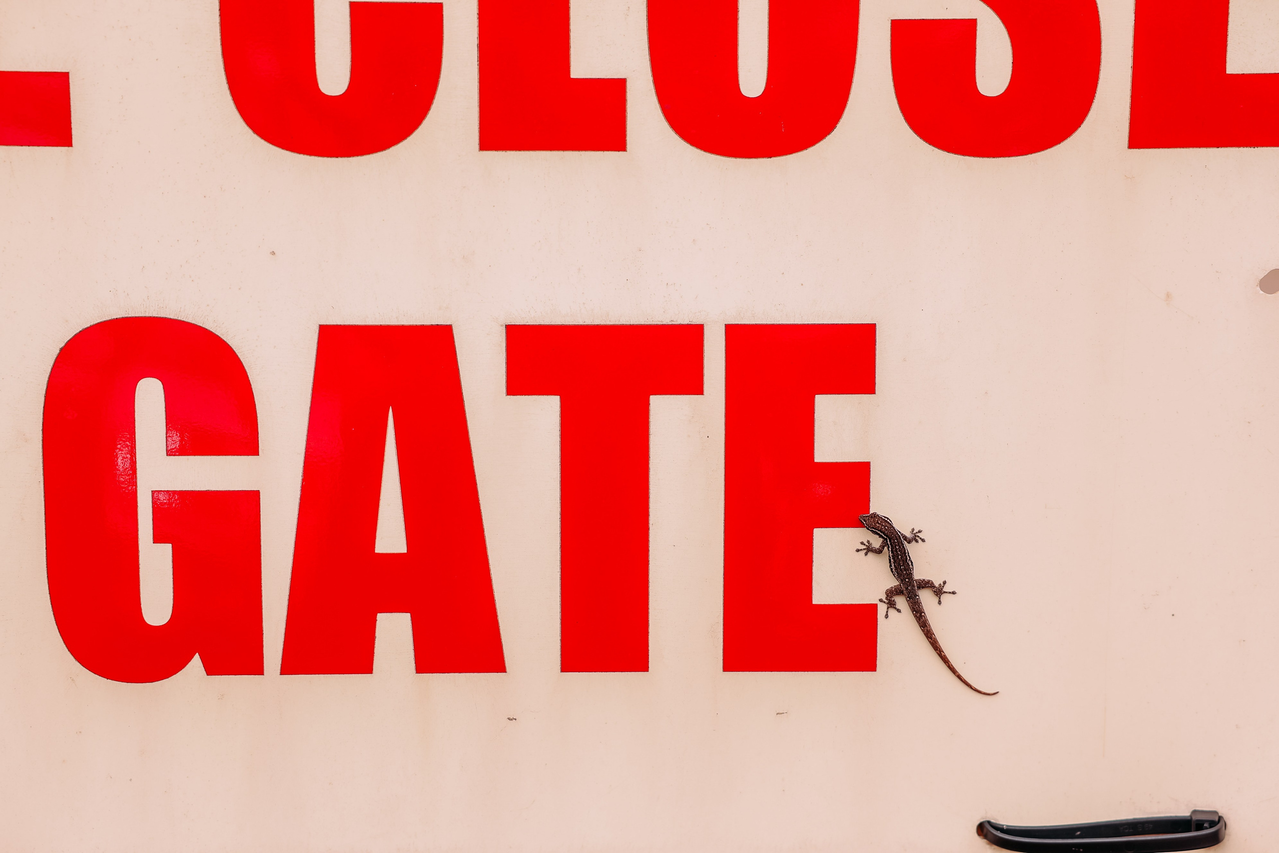 ФОТО ТУРЫ ПО МИРУ. Фотограф Марина Аблаева-Кожедуб