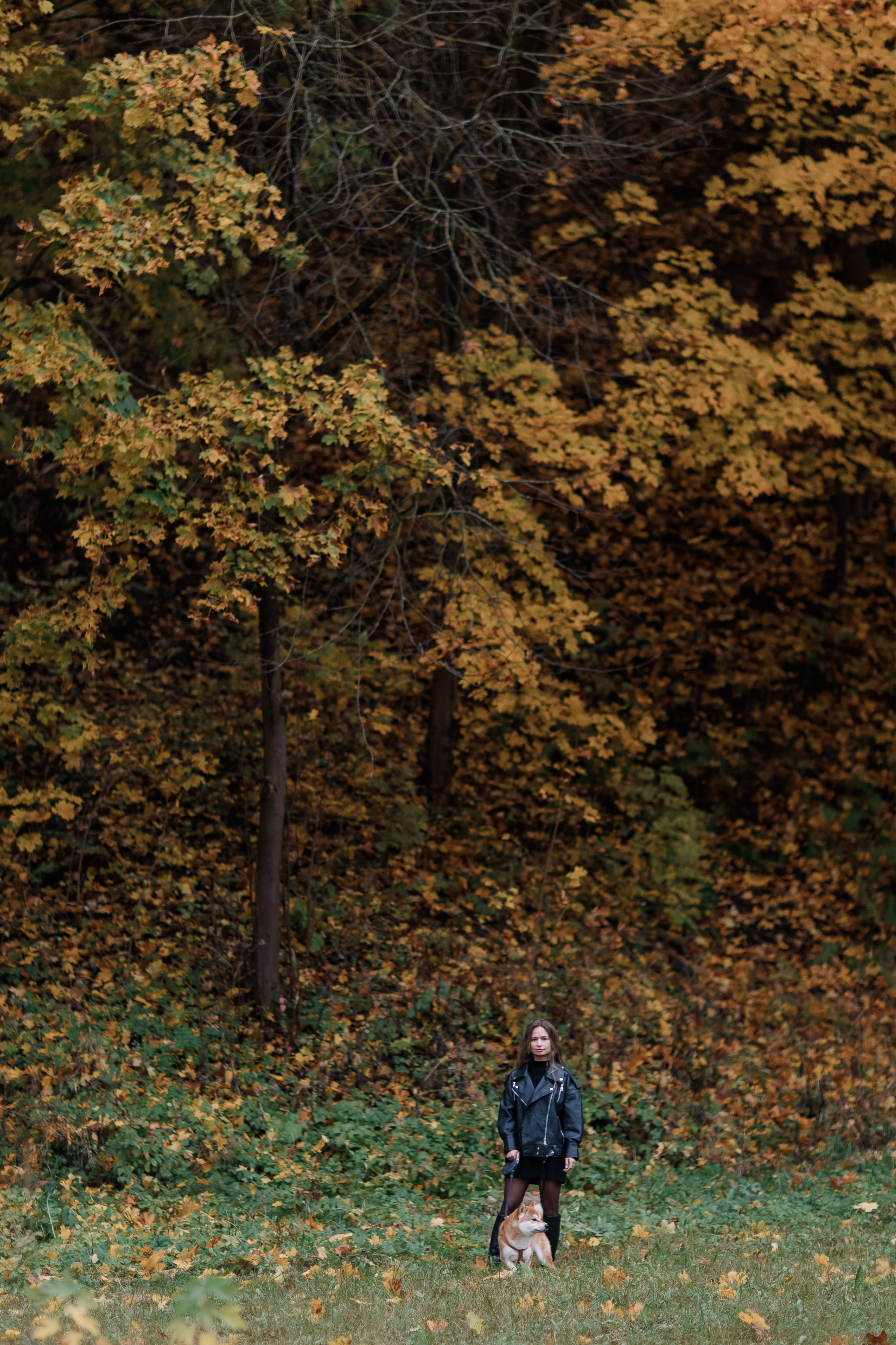 Юлия. Свадебный фотограф