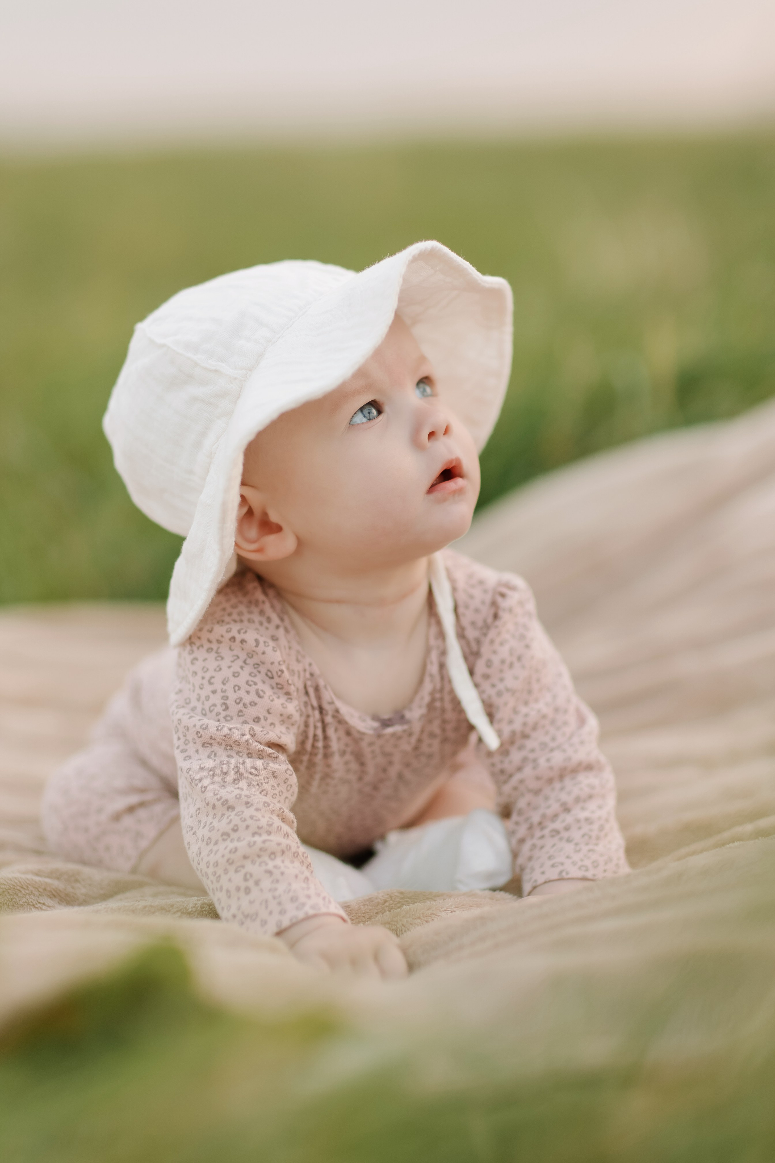 Алина. Свадебный фотограф