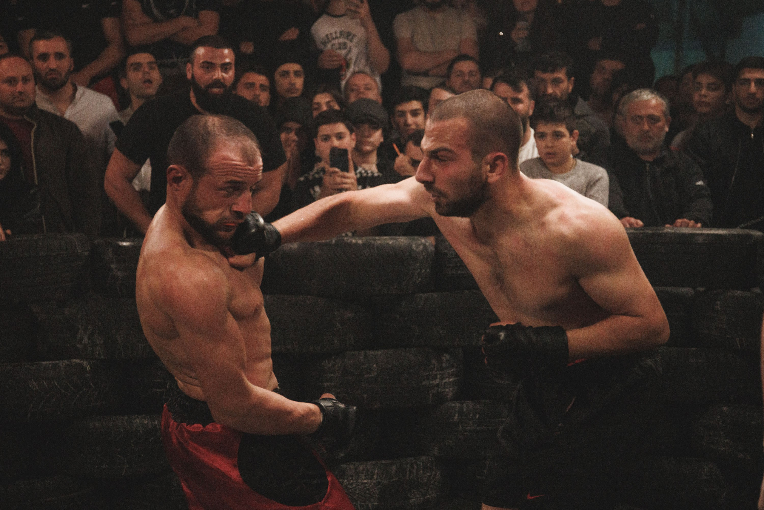 Fights // Social. Bivol images