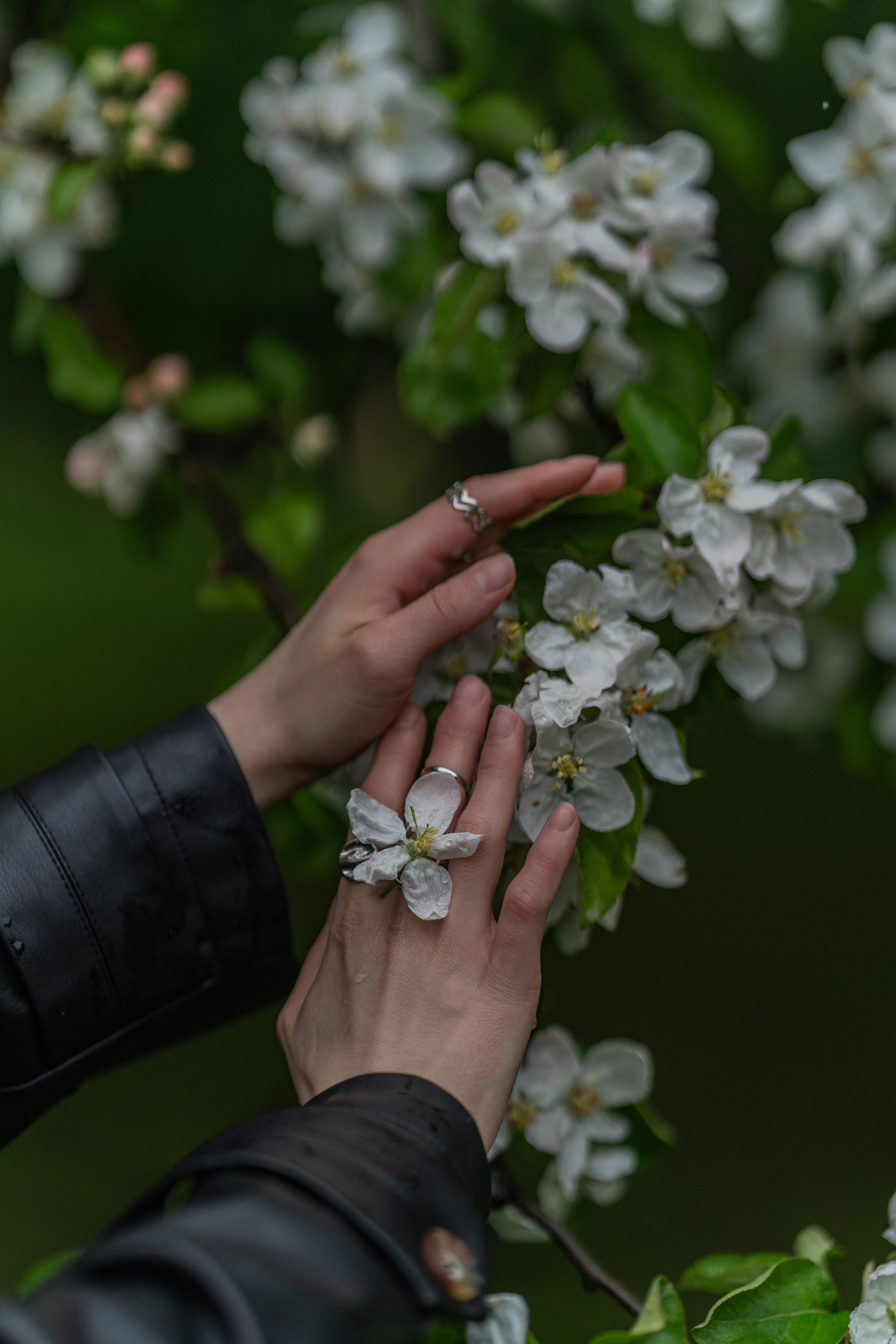 K. Натали — Фотографирую на память, что бы помнить какими мы были