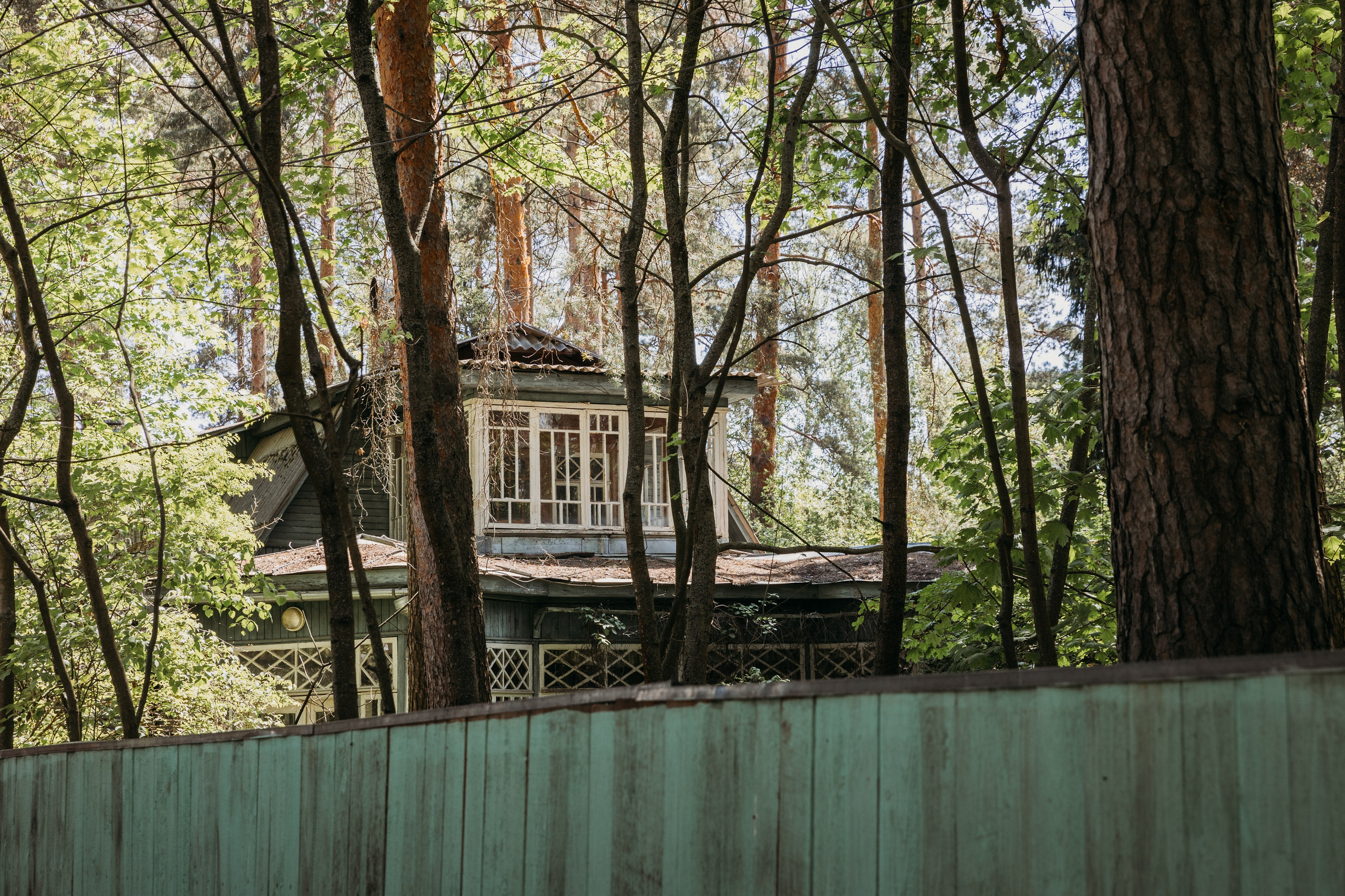 Родные люди «Кратово». Леся Гаранина. Семейный фотограф/видеограф Москва и область