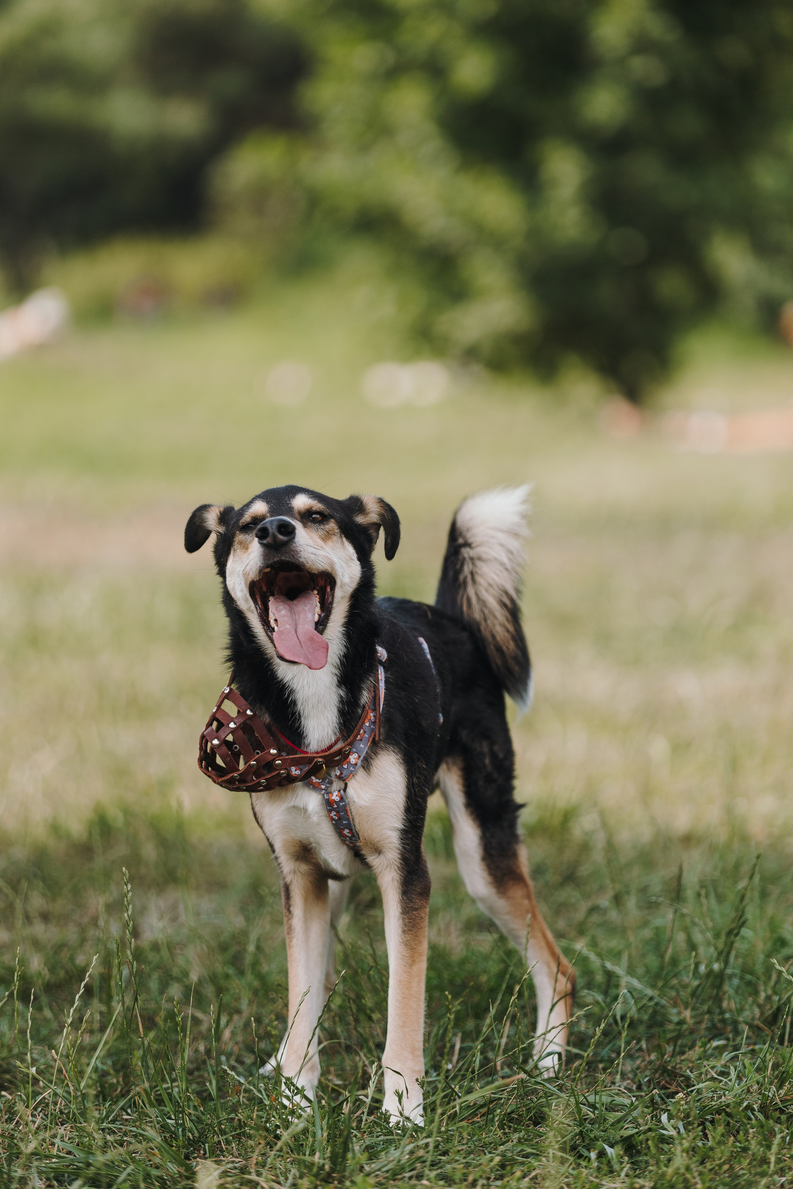 Petshop Sup day. Фотограф анималист Кристина Карпова, Москва