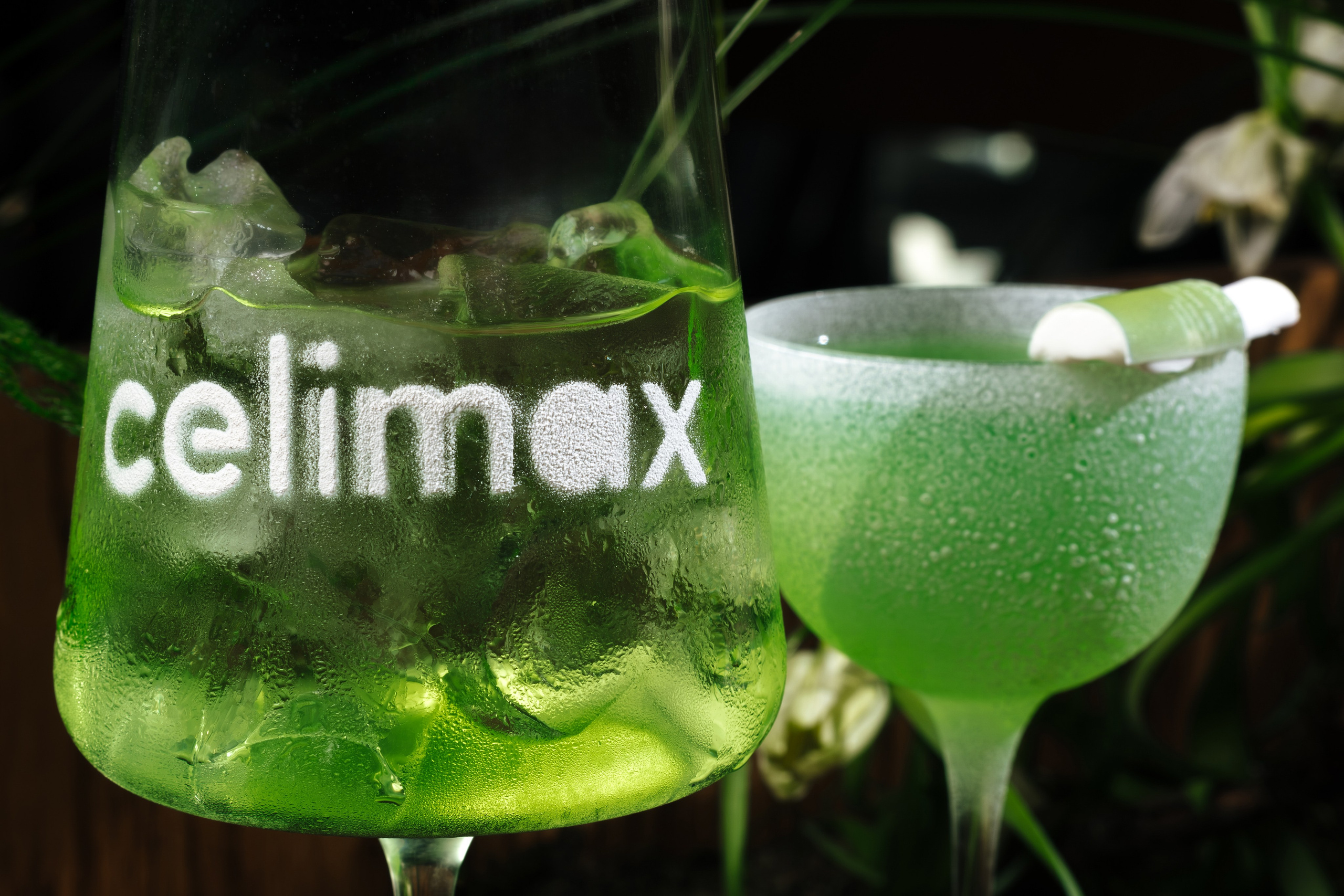 She x Celimax. Контент фотограф Виталий Морозов г. Москва