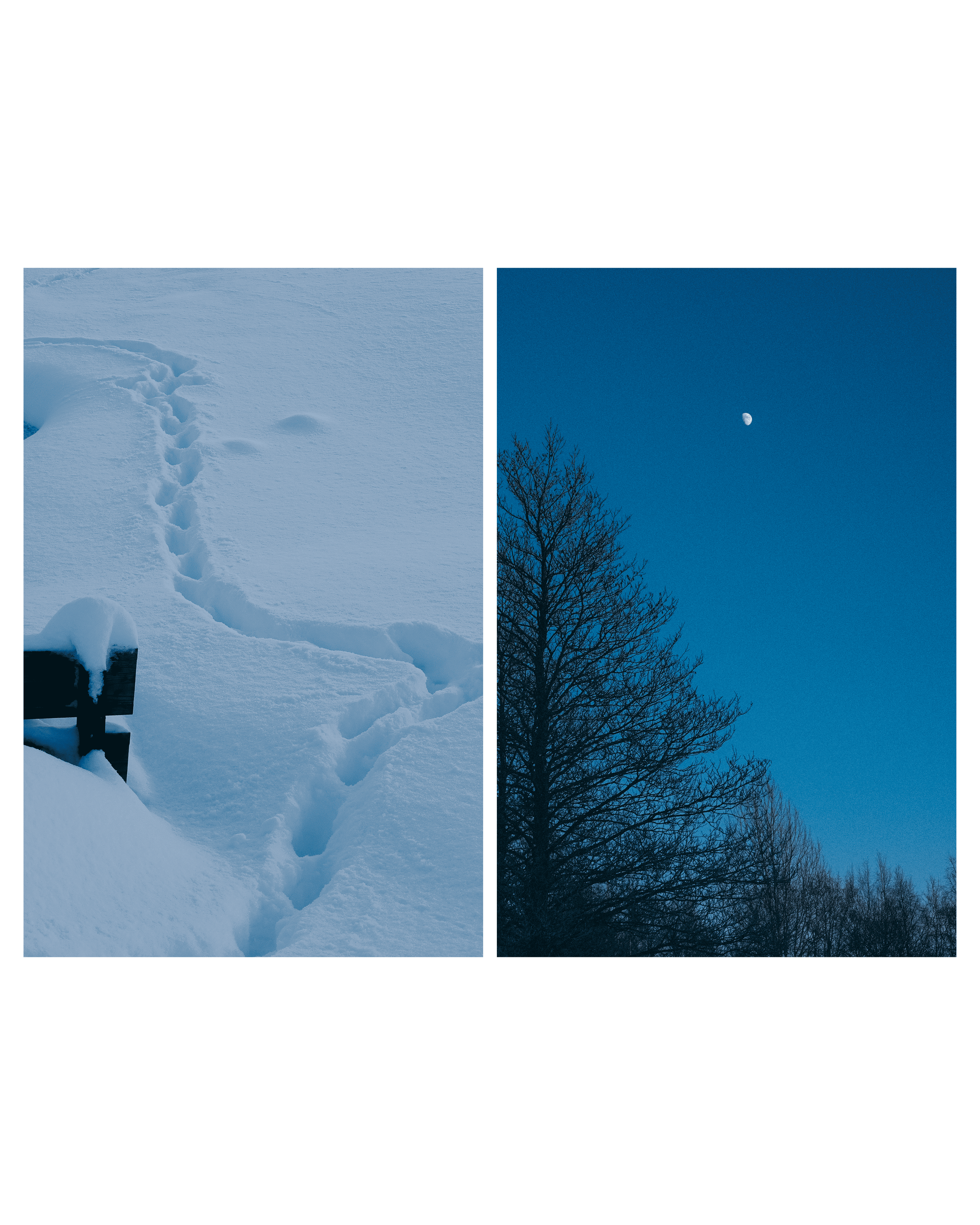 В дали от города. Фотограф Алиса Аспер