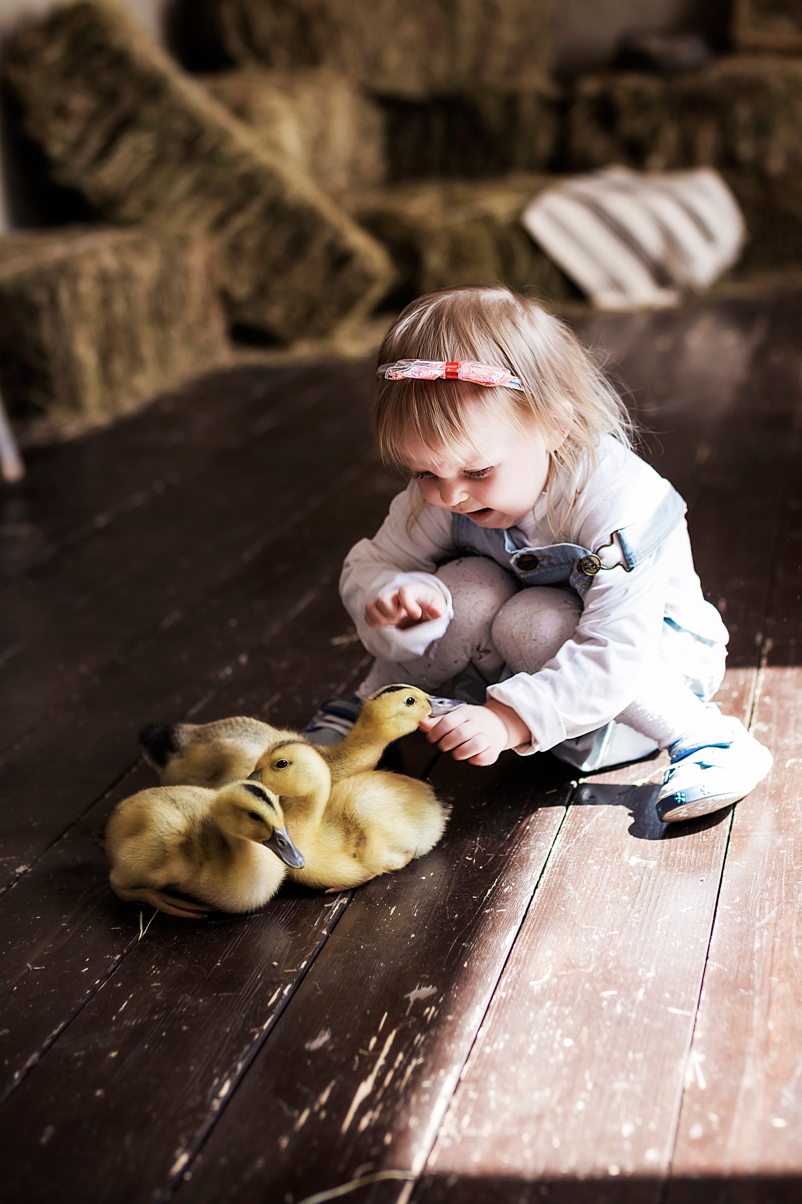 Дети и животные…самый милый альбом. Семейный фотограф в Саратове