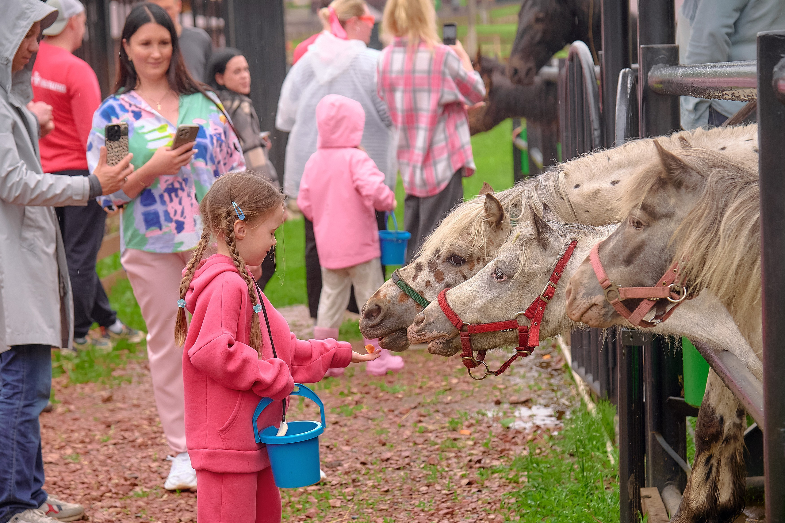 Ранчо «Шарье». Сеть магазинов «Калина-Малина». Фотограф Яковлев Роман — Красноярск