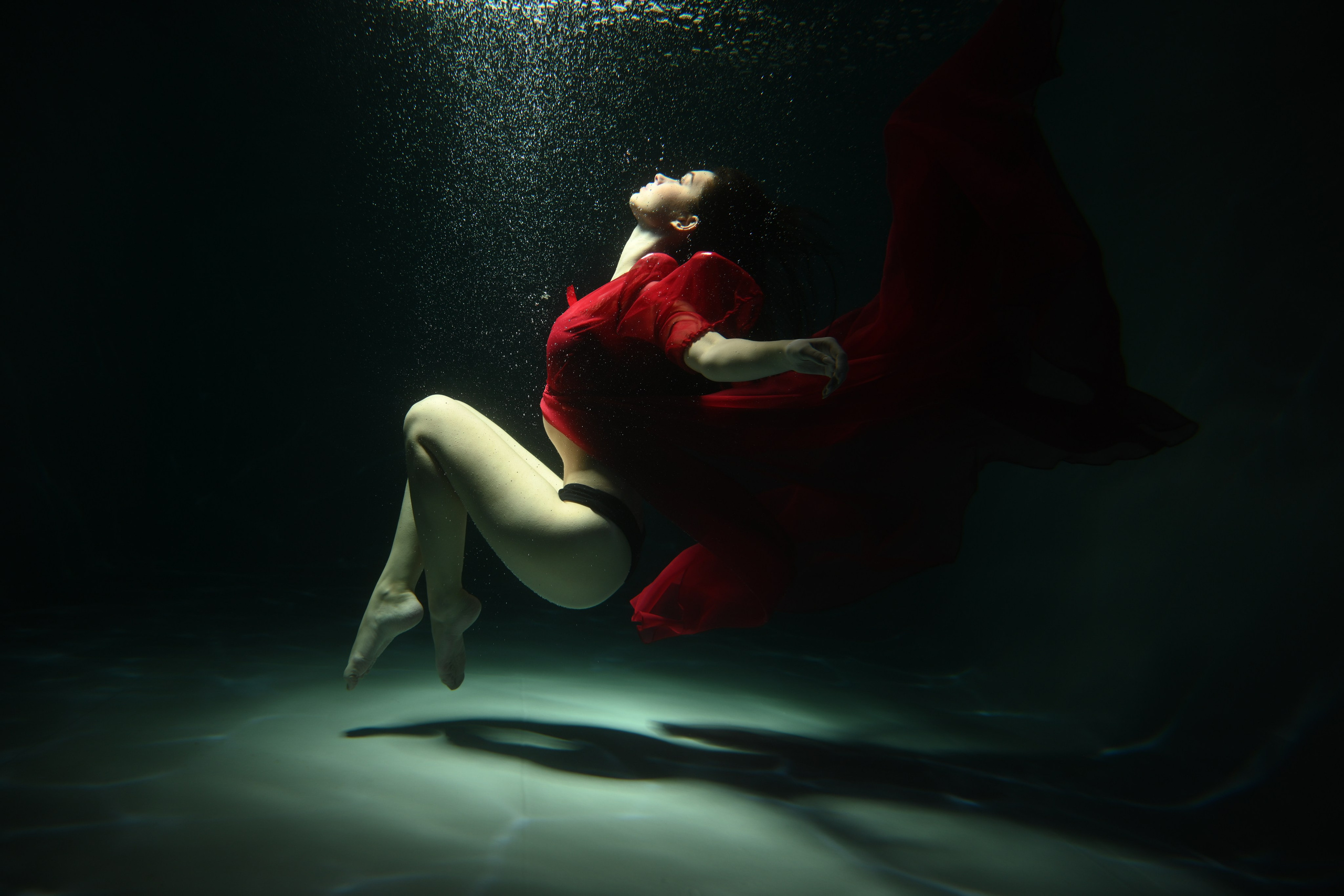 Аквариумные снимки. Фотограф в Санкт-Петербурге Сафронов Николай