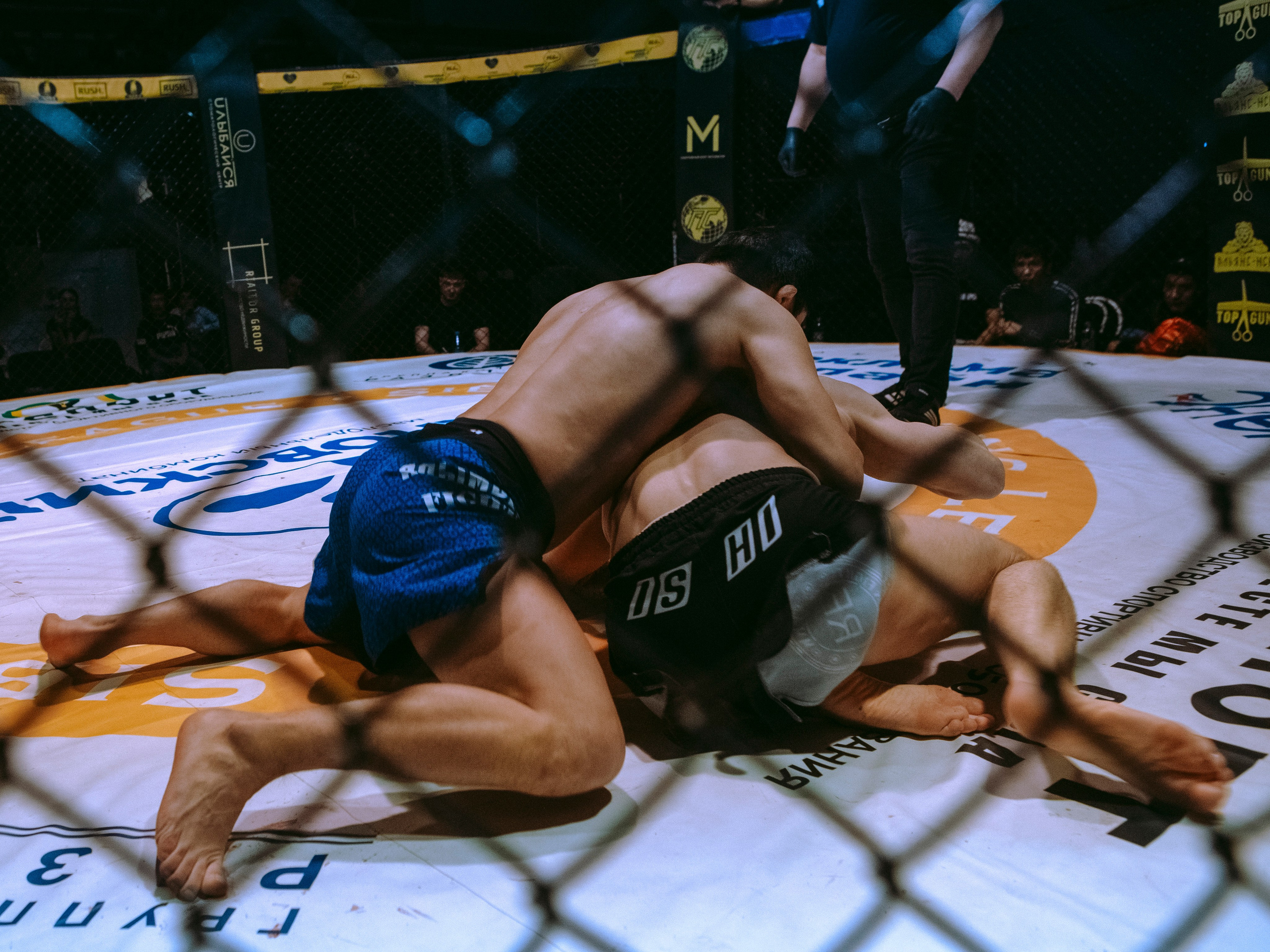 SFL 17 | Siberian Fighting League. Портретный фотограф в Москве Дарья Цезария