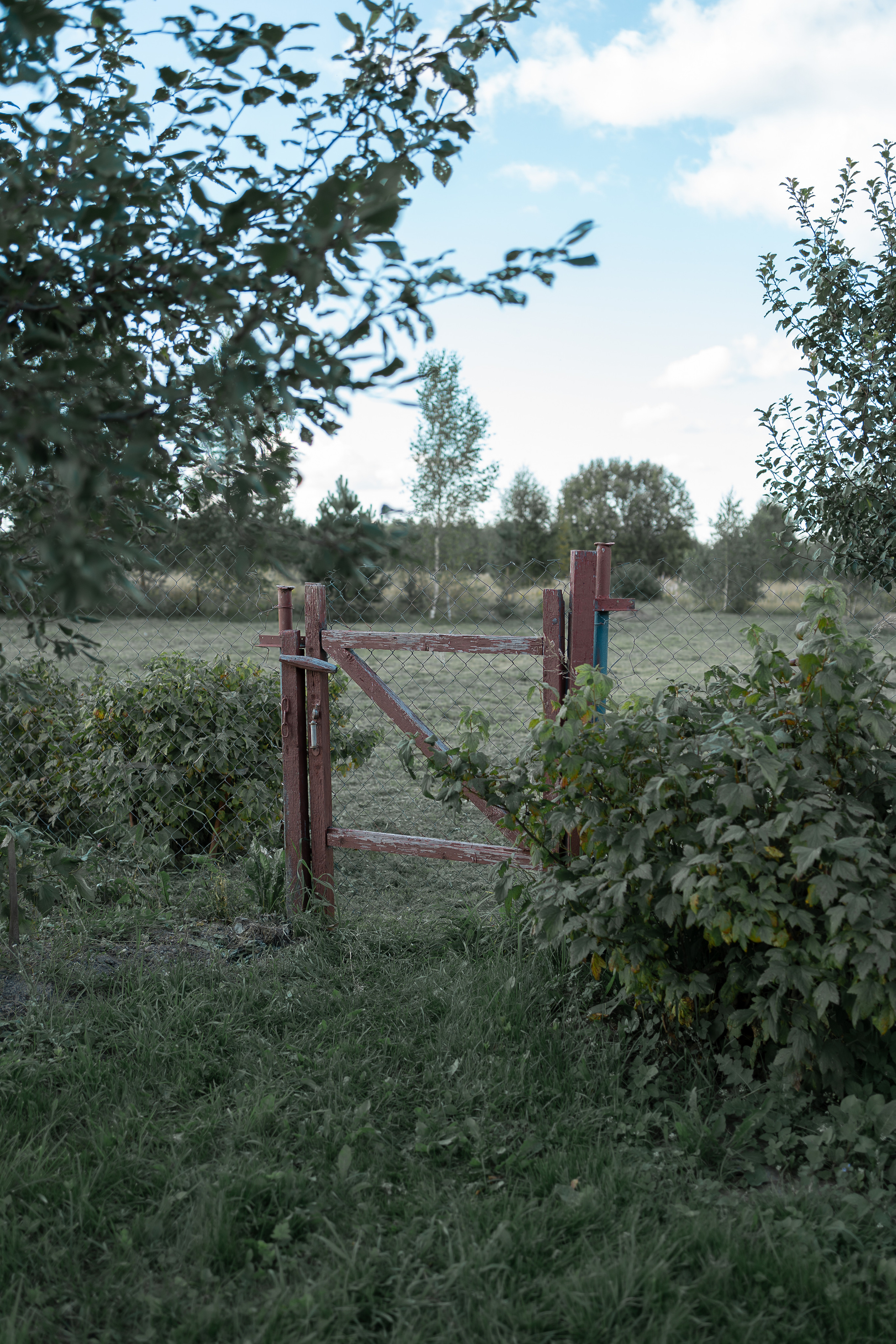 Шапито. Irina Gryaznova — photographer. Moscow