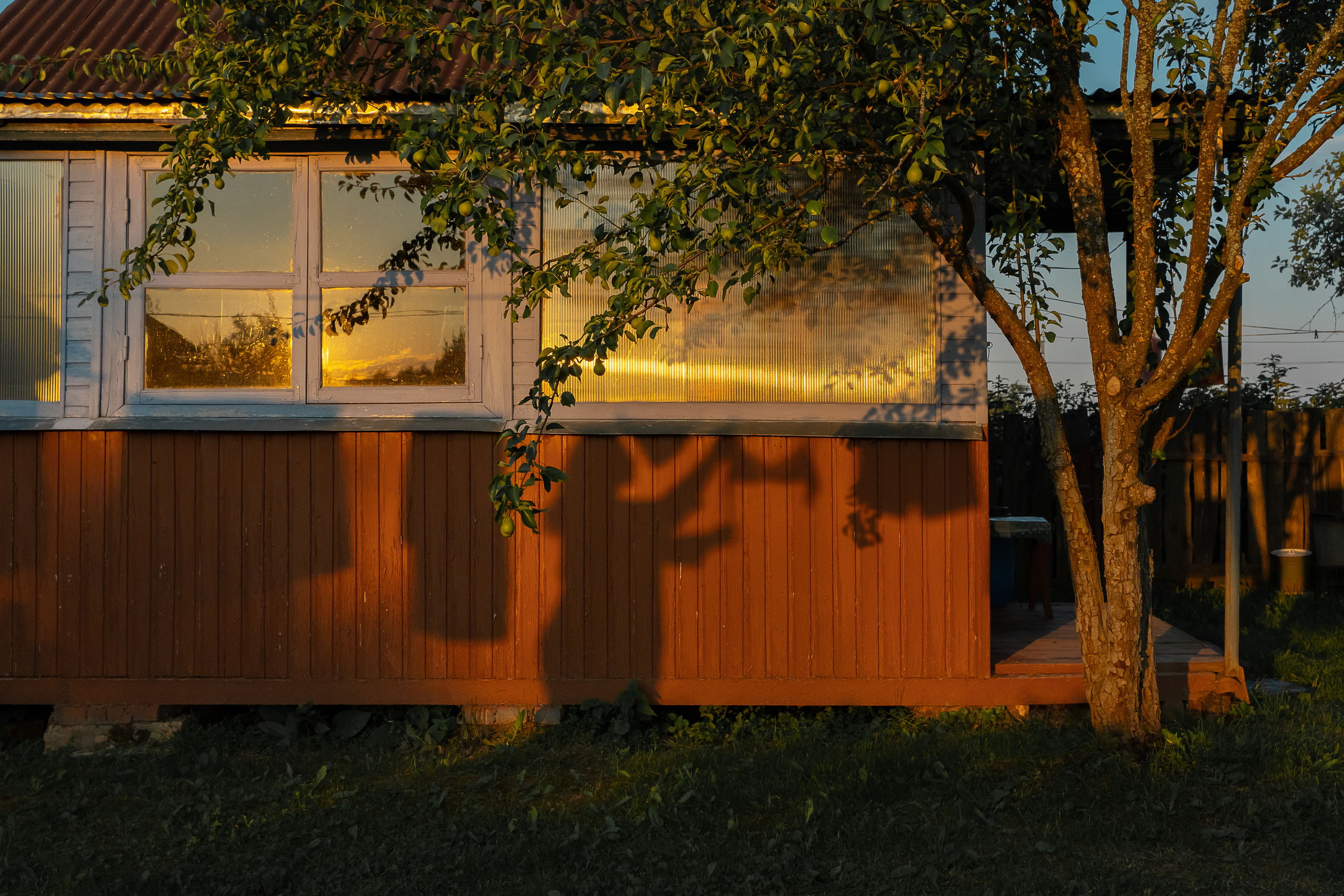 Шапито. Irina Gryaznova — photographer. Moscow