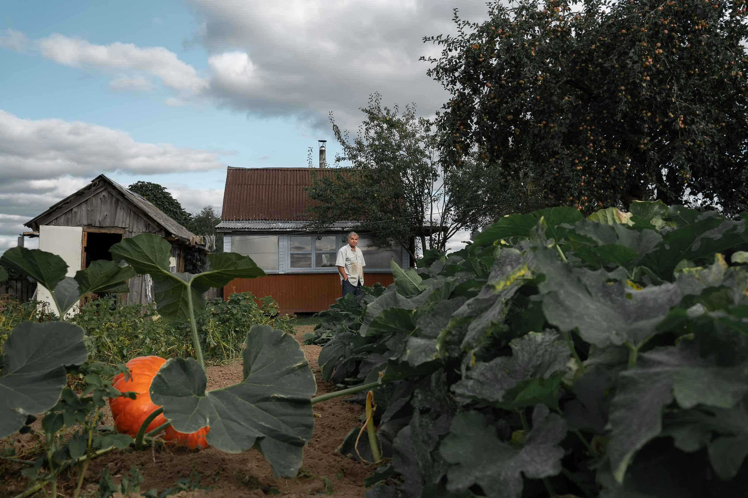 Шапито. Irina Gryaznova — photographer. Moscow