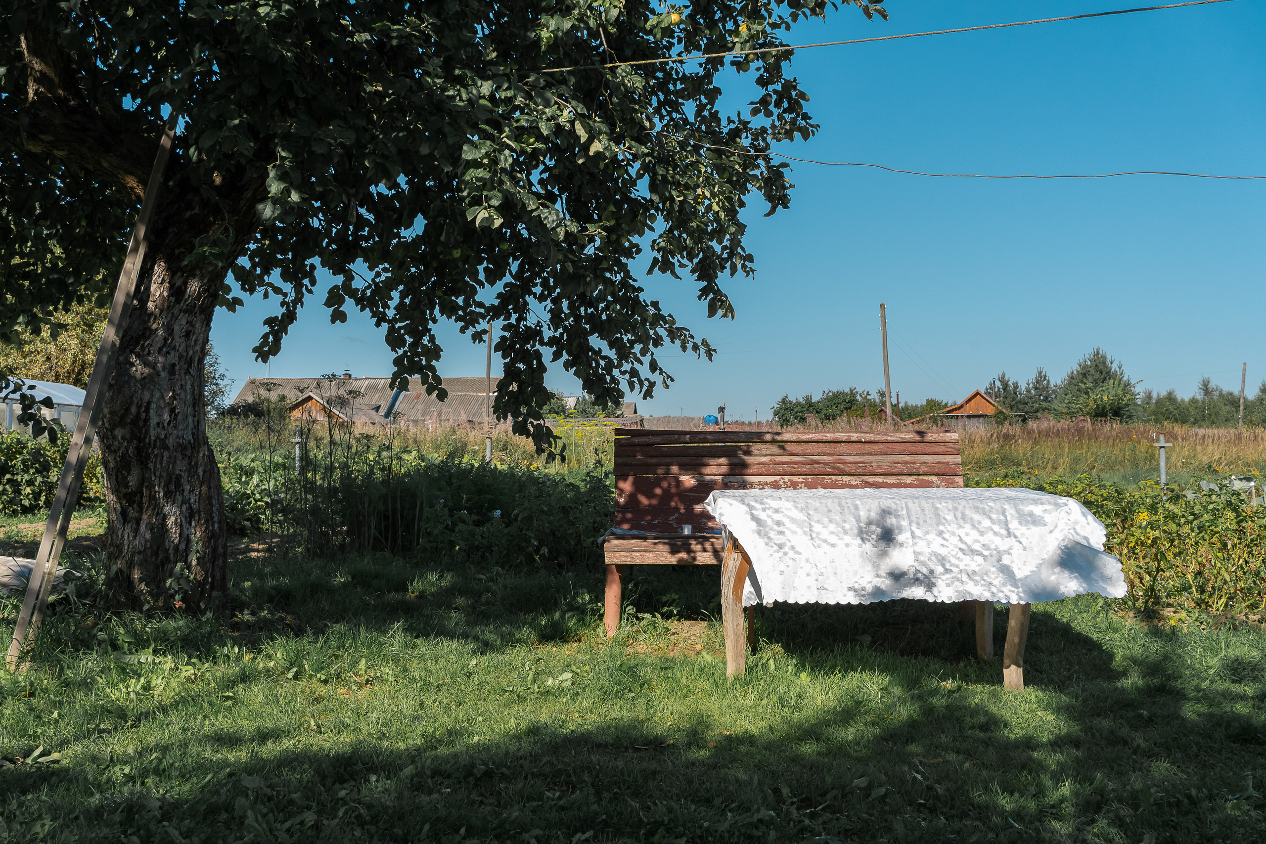 Шапито. Irina Gryaznova — photographer. Moscow