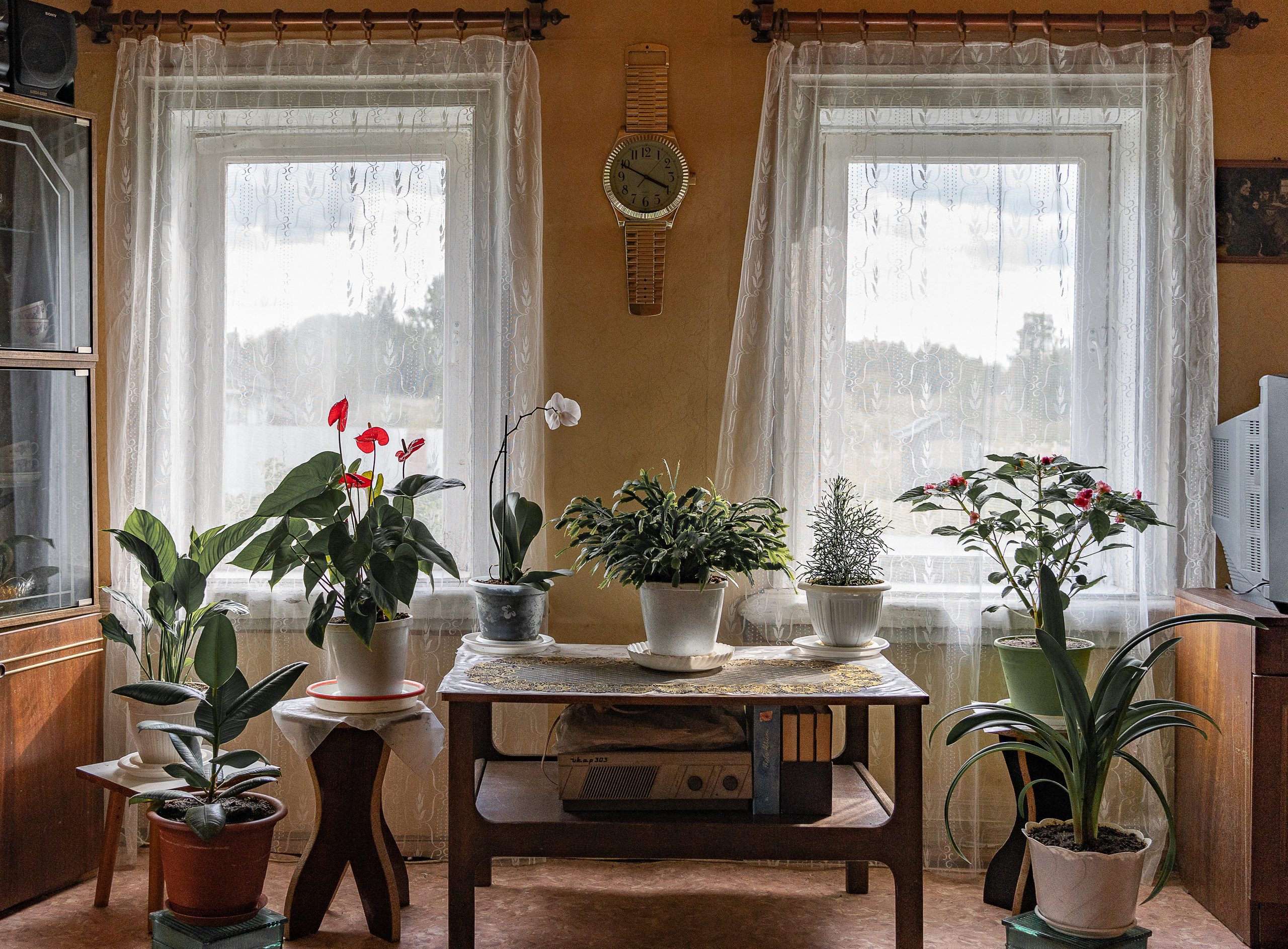 Шапито. Irina Gryaznova — photographer. Moscow