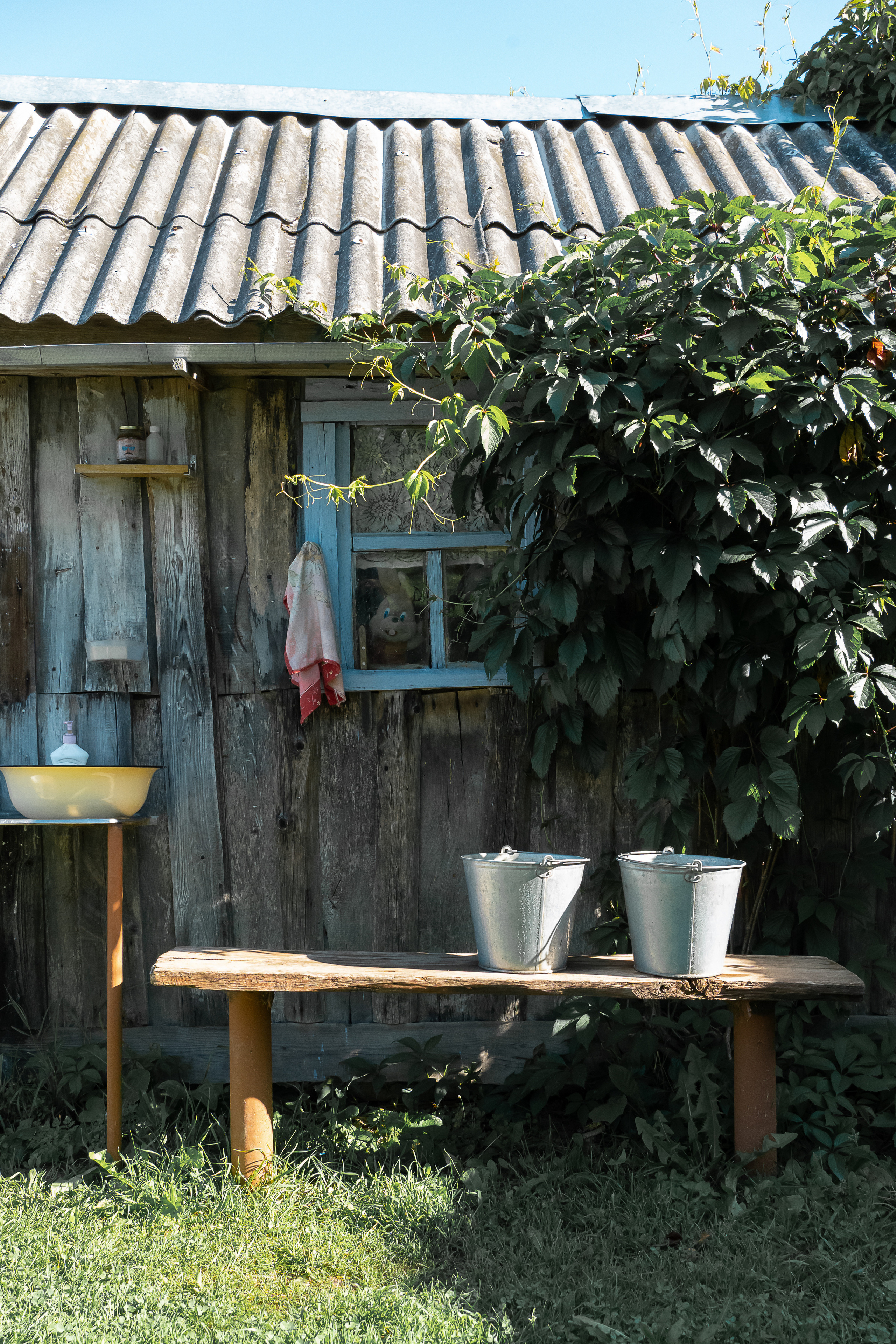 Шапито. Irina Gryaznova — photographer. Moscow