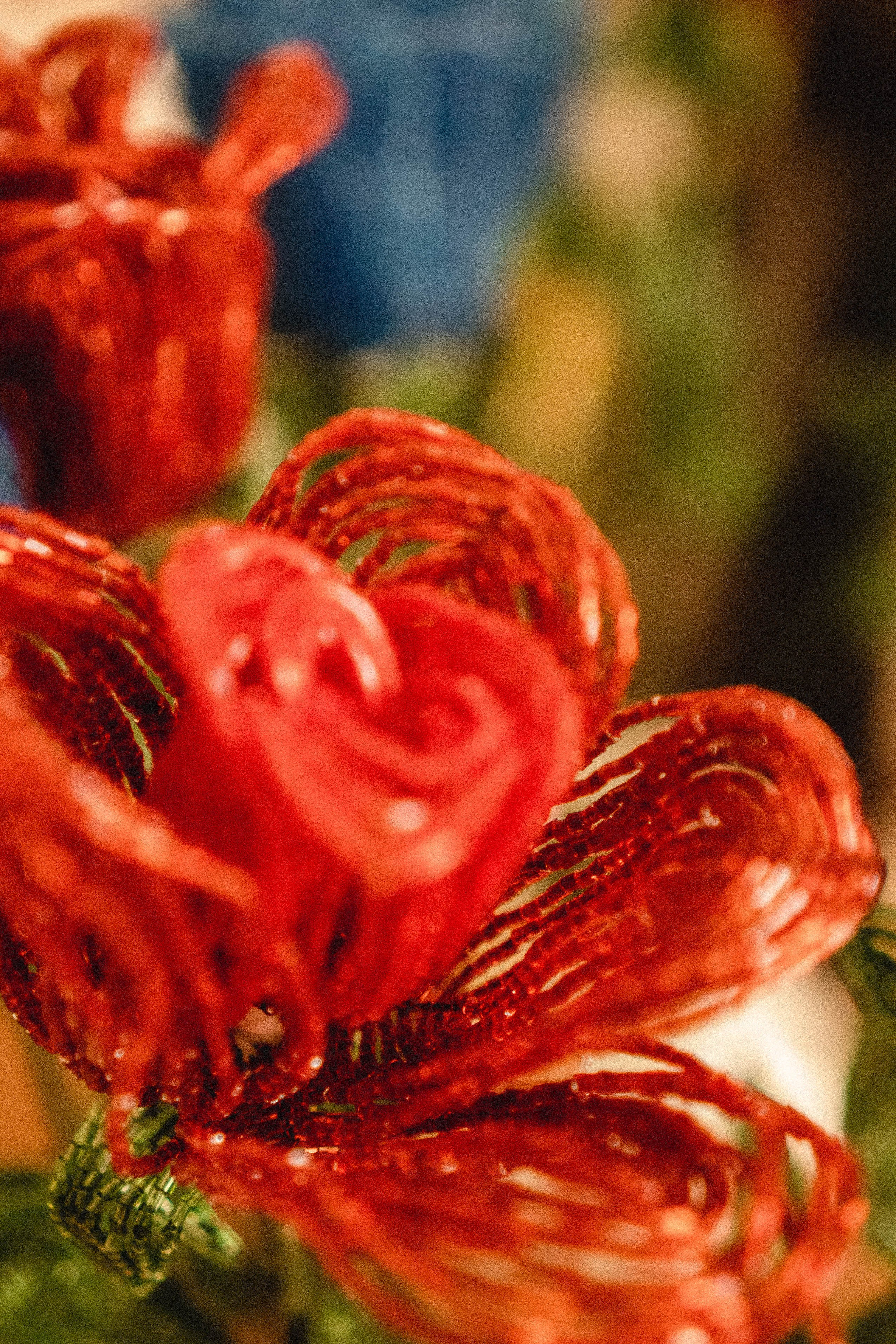 Кавказ. Профессиональный фотограф, Санкт-Петербург — Виктория Богомолова