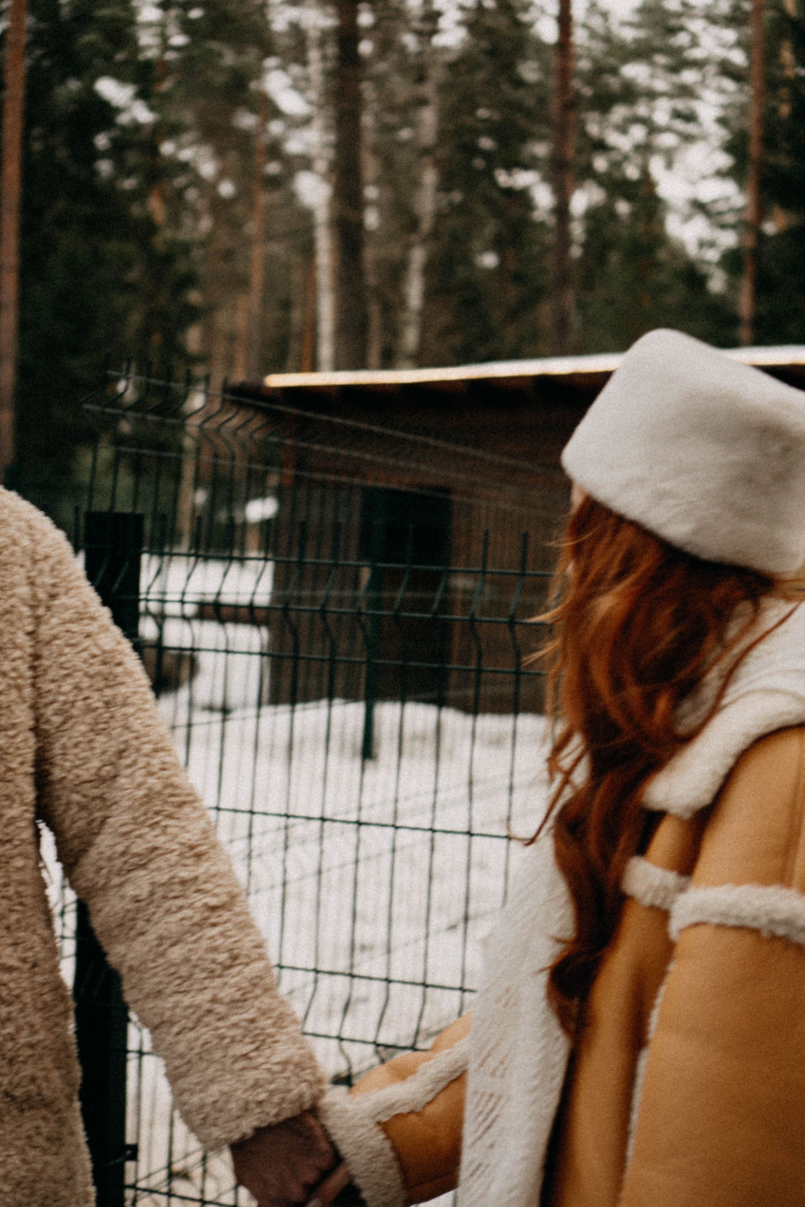 Каток. Профессиональный фотограф, Санкт-Петербург — Виктория Богомолова