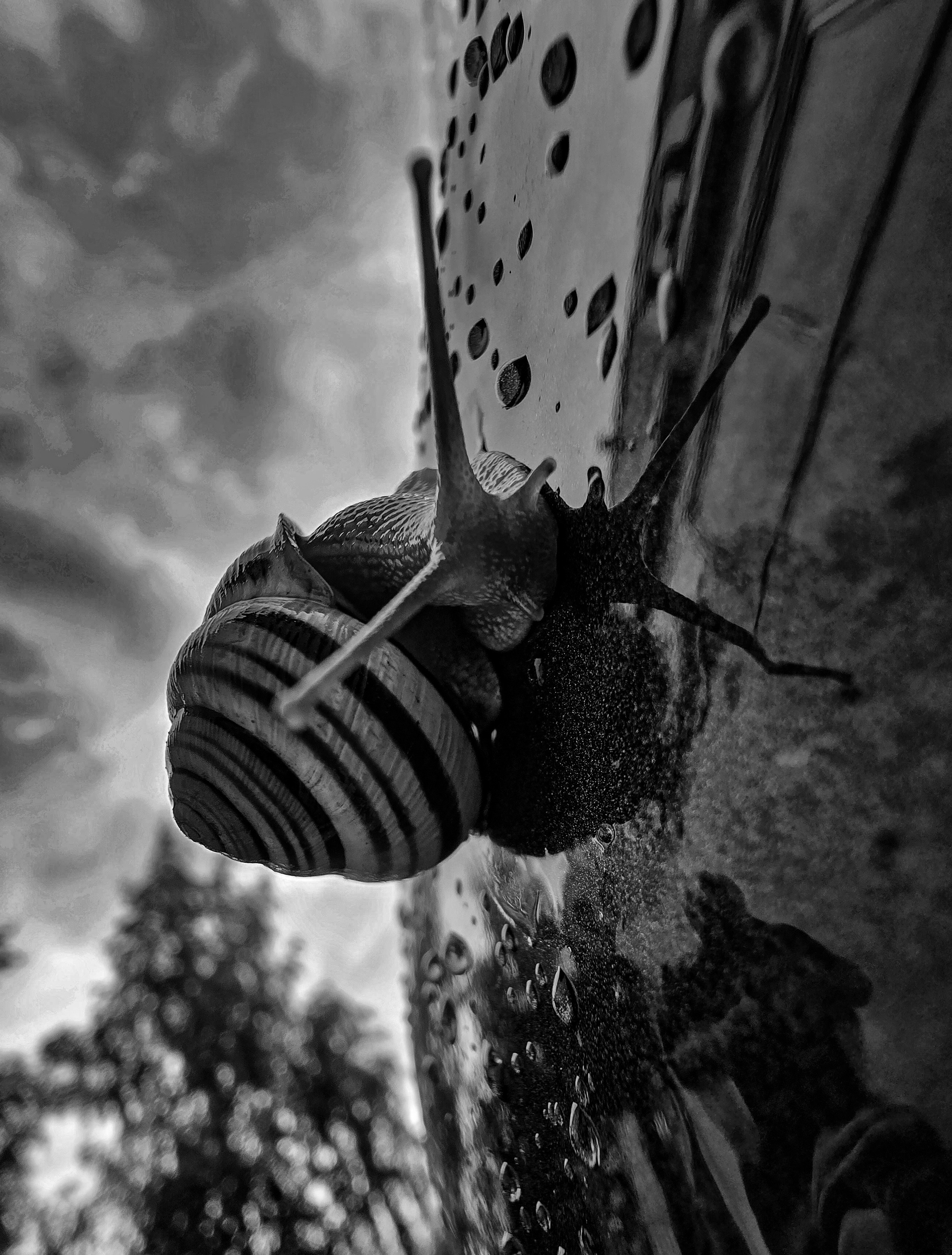 Фотограф в Ижевске Мария Романова