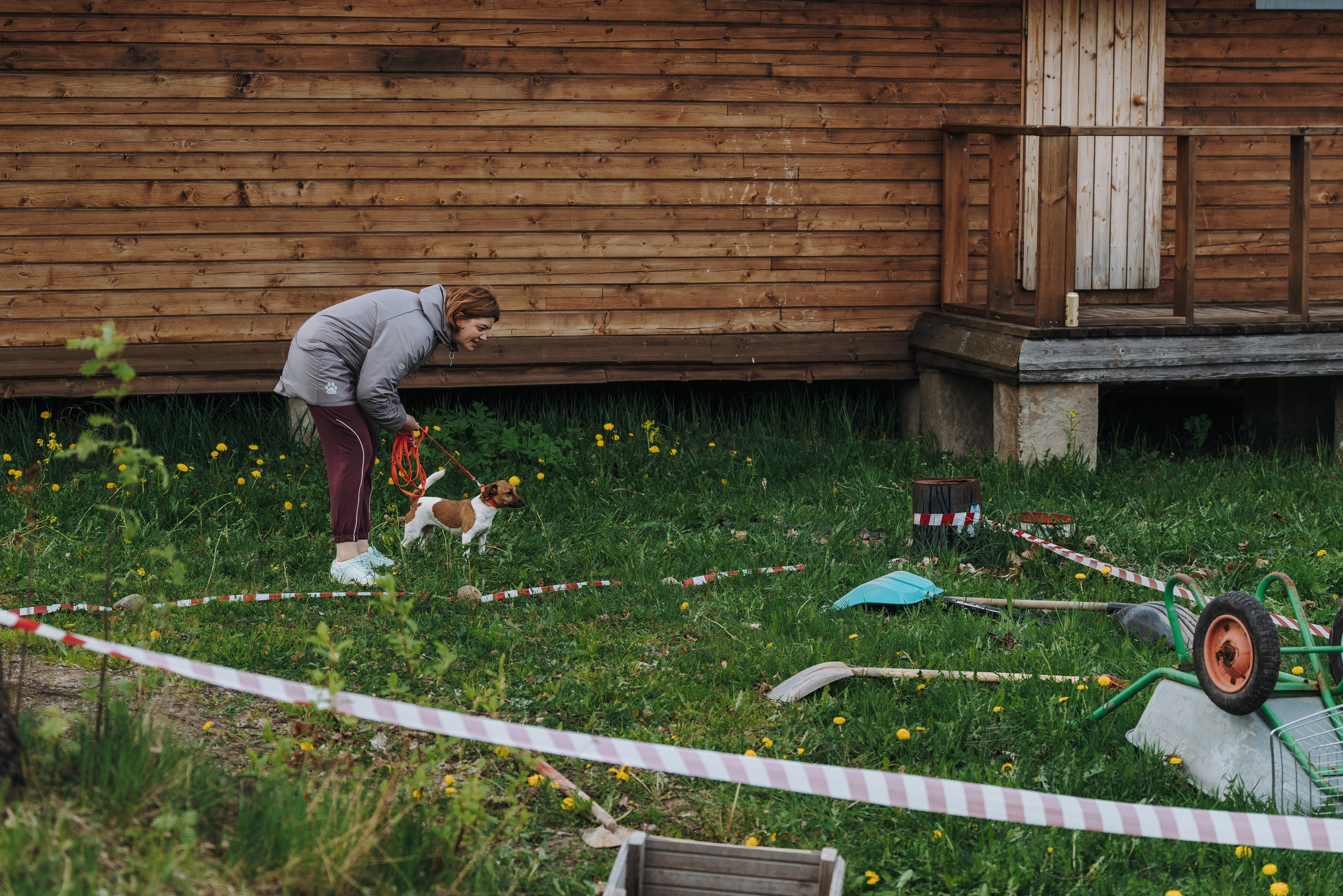 Соревнования по ноузворку в Лосево. Фотограф анималист в Спб недорого Олеся Майорова