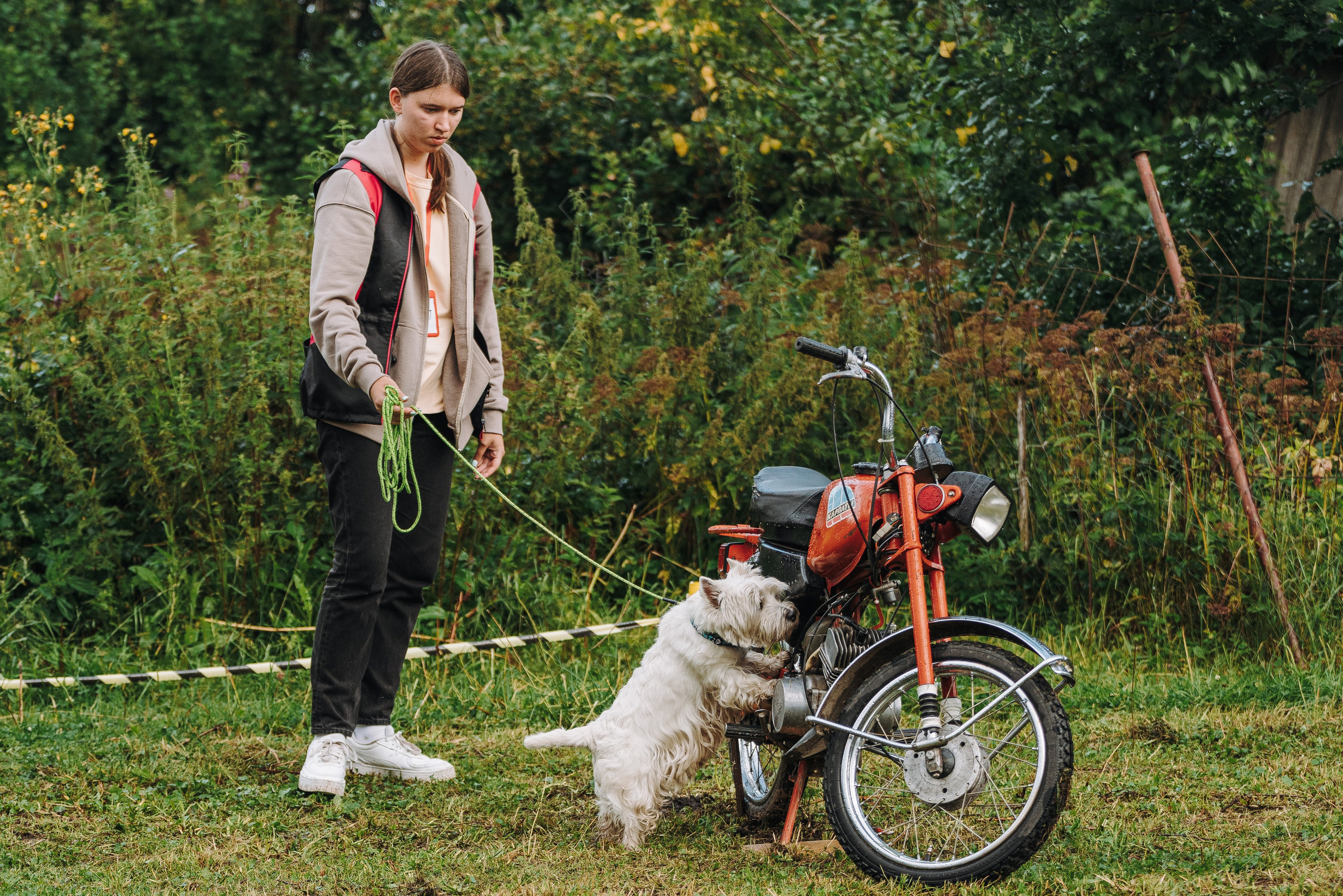 Соревнования по ноузворку в Новожилово. Фотограф анималист в Спб недорого Олеся Майорова