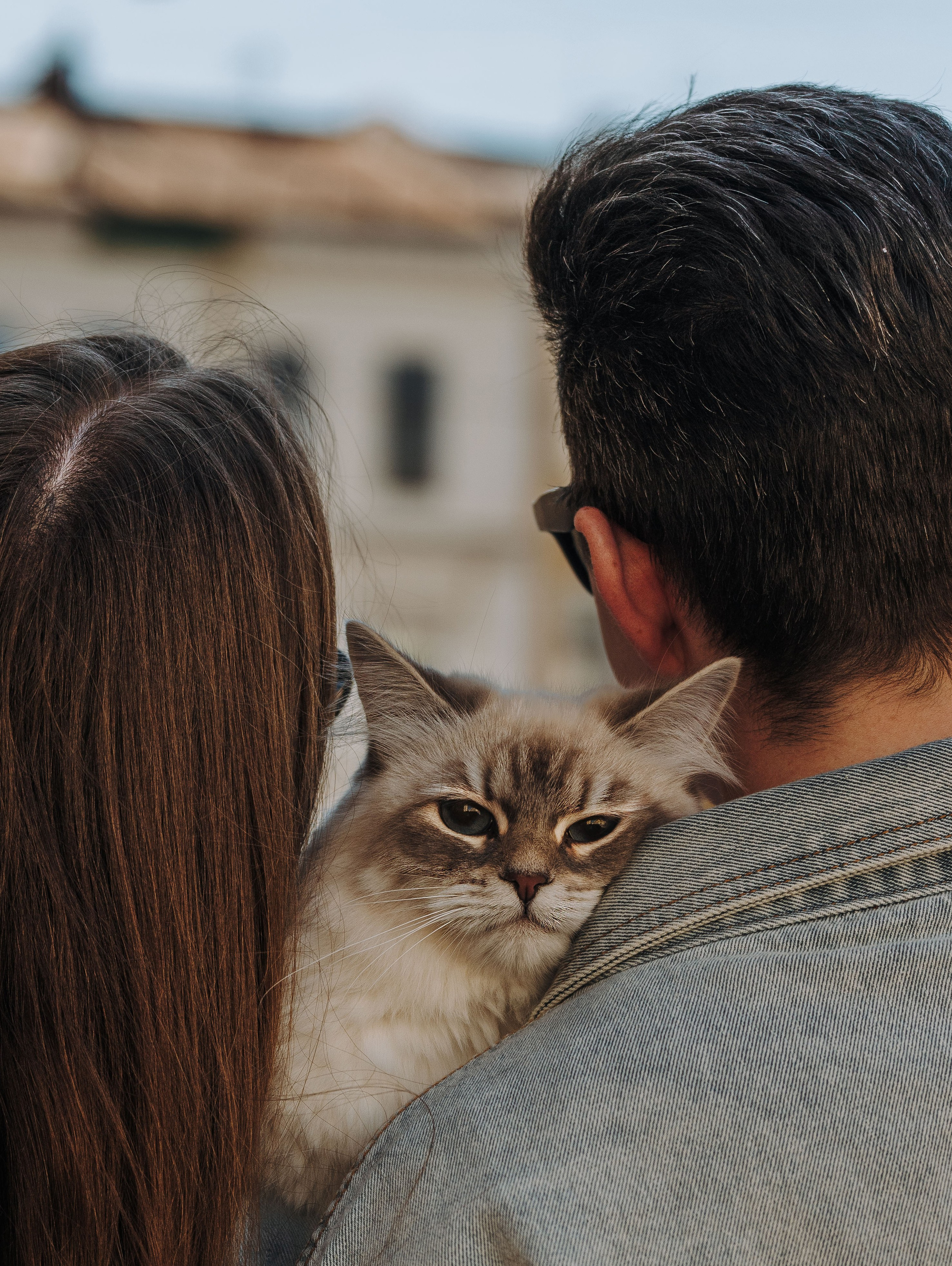 Сильвия, Полина и Никита. Фотограф анималист в Спб недорого Олеся Майорова