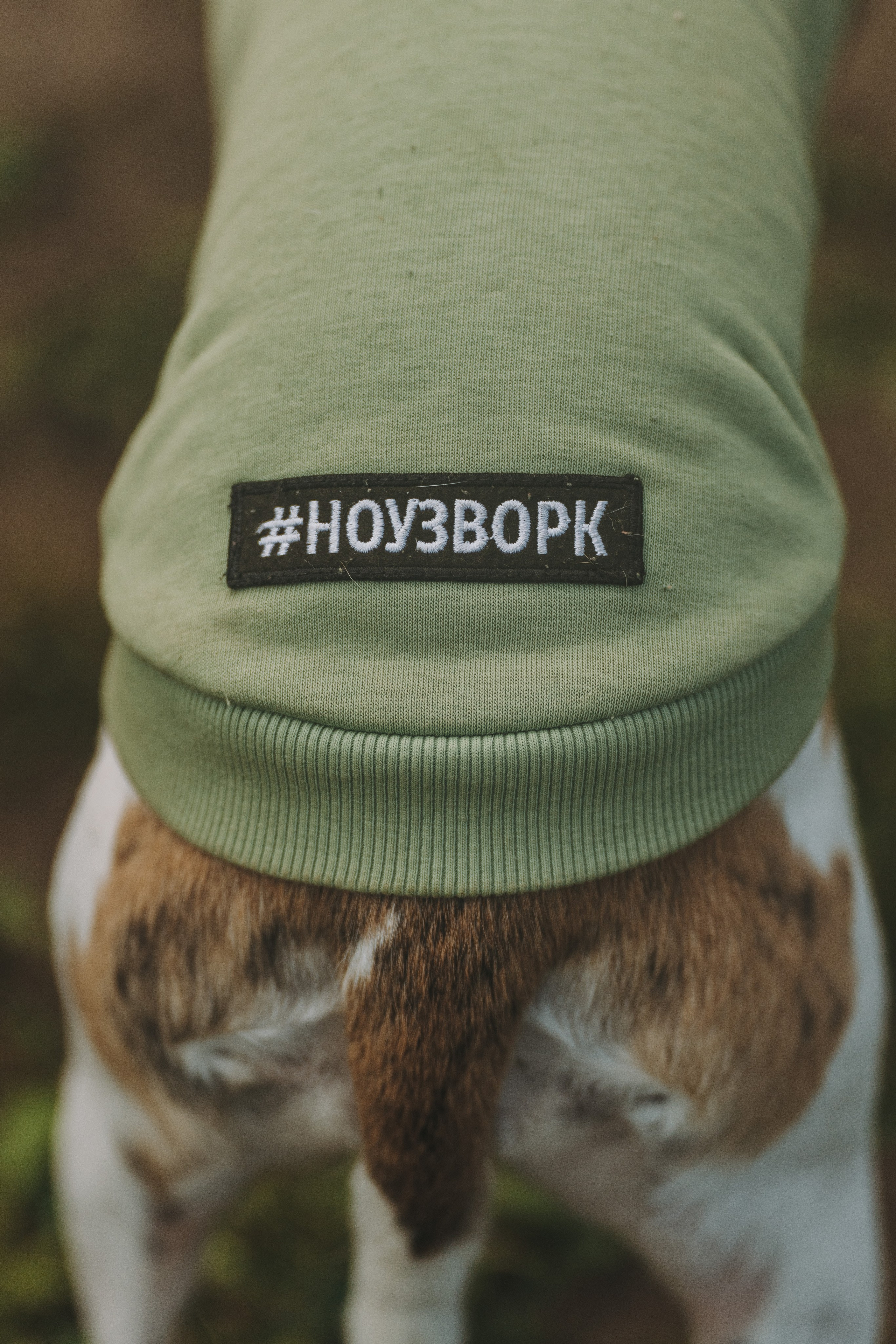 Соревнования по ноузворку в Новожилово. Фотограф анималист в Спб недорого Олеся Майорова