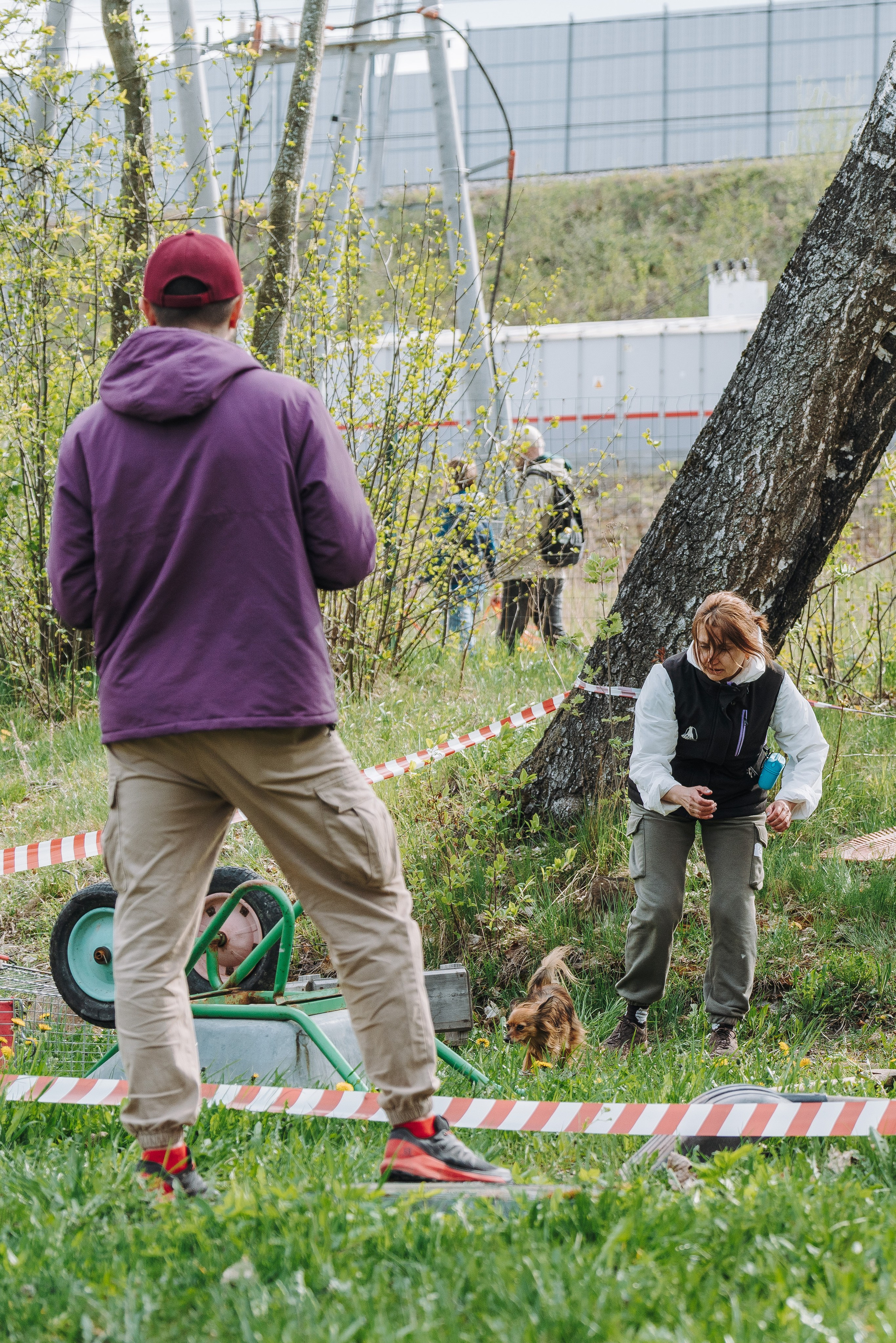 Соревнования по ноузворку в Лосево. Фотограф анималист в Спб недорого Олеся Майорова