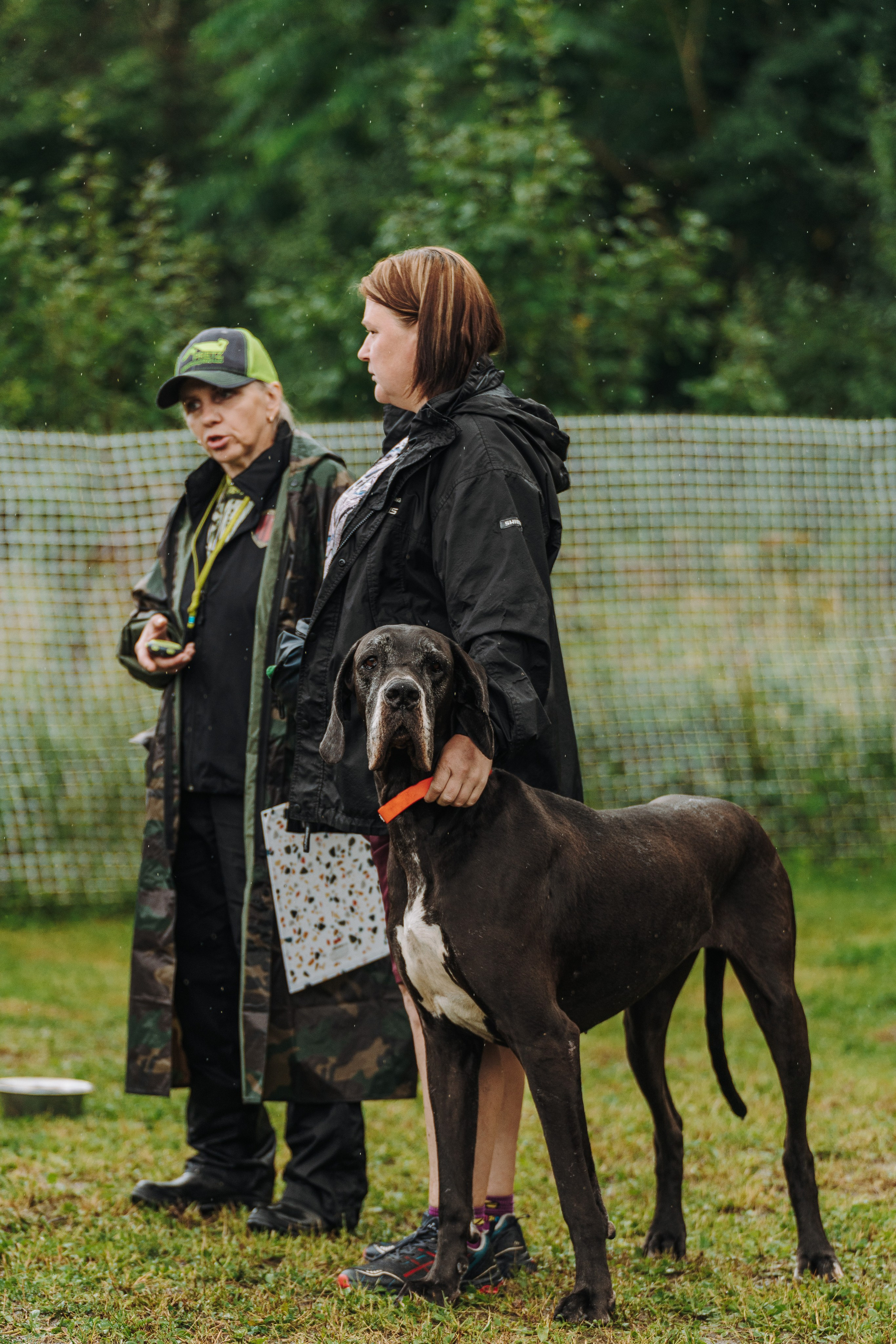 Соревнования по ноузворку в Новожилово. Фотограф анималист в Спб недорого Олеся Майорова